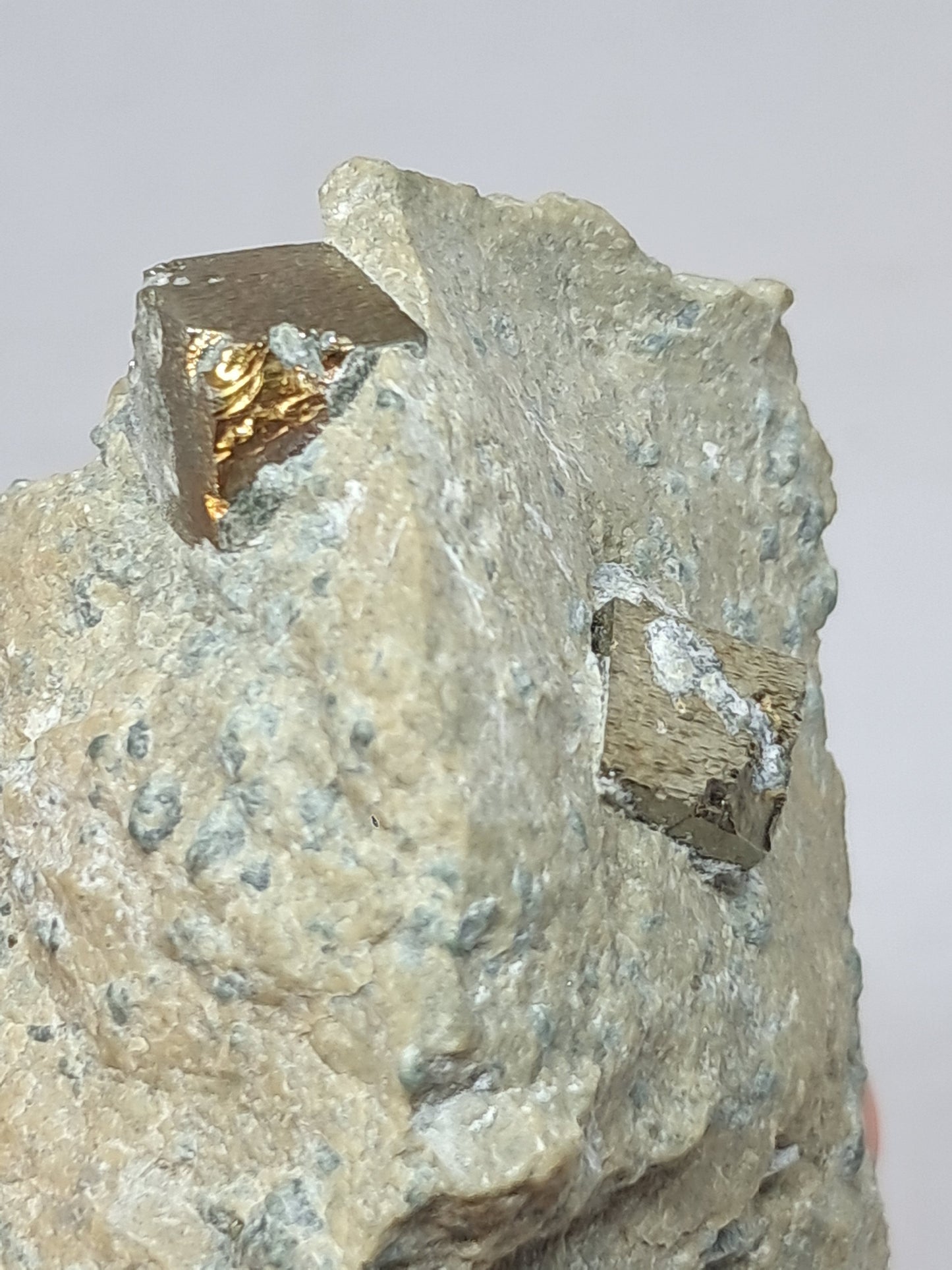 Cubos de pirita en matriz (España) Cristal natural | Ejemplar mineral n.° PR15