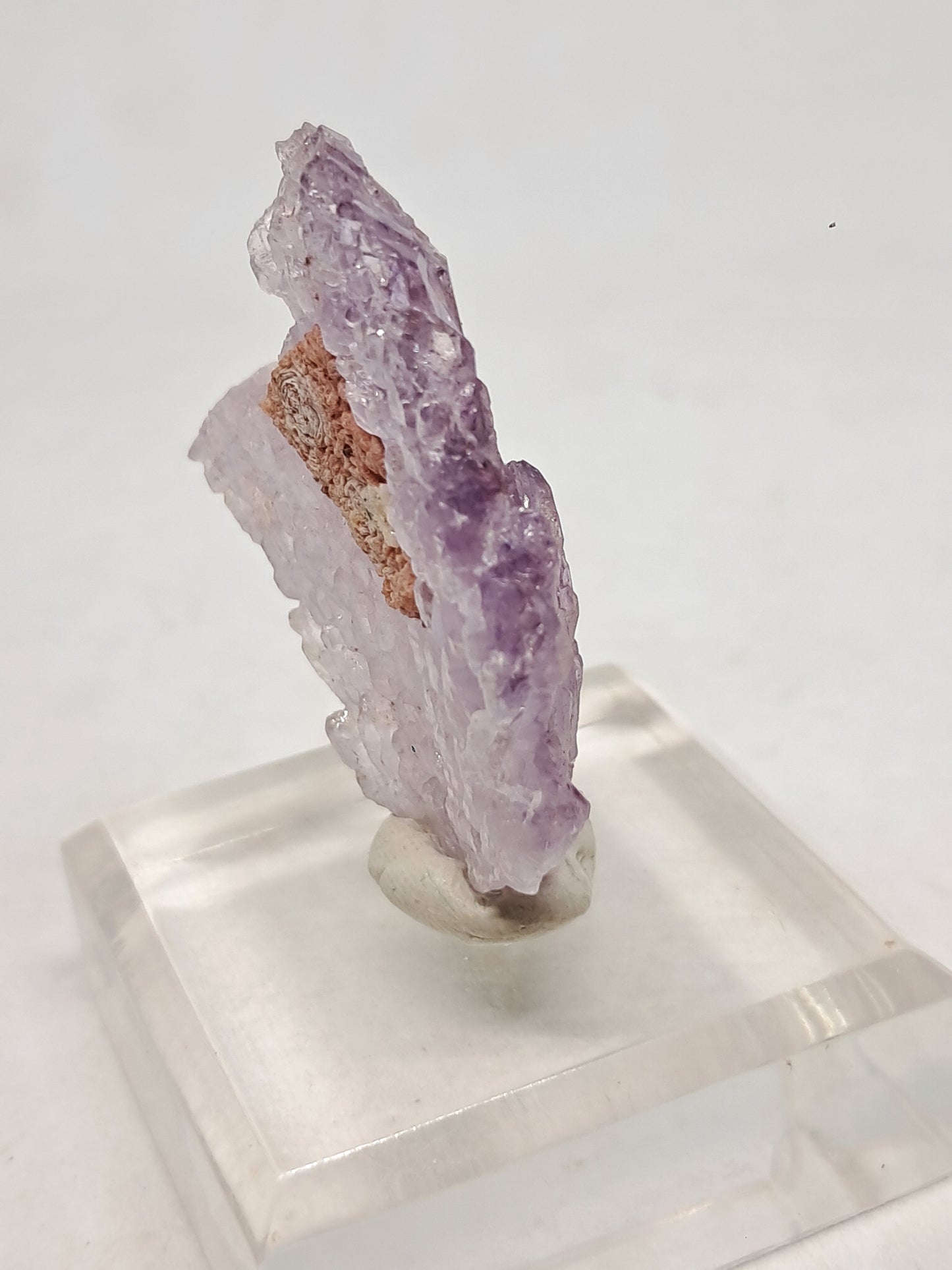 Amethyst Scepter Cluster w/ Goethite (Karur) Crystal Quartz Point | Natural Stone | Mineral Specimen #KA68