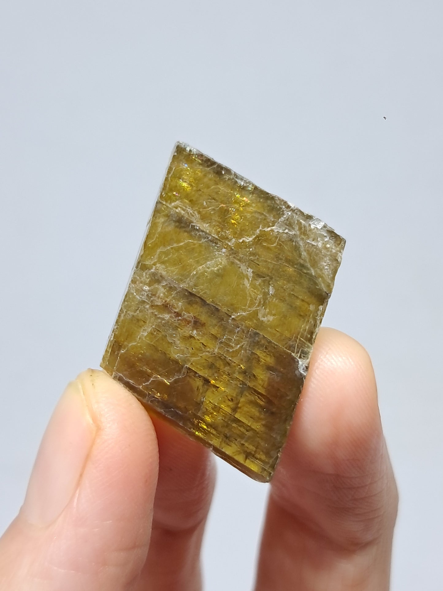 Honey Calcite (India) Rough Crystal | Natural Stone | Mineral Specimen #CA12