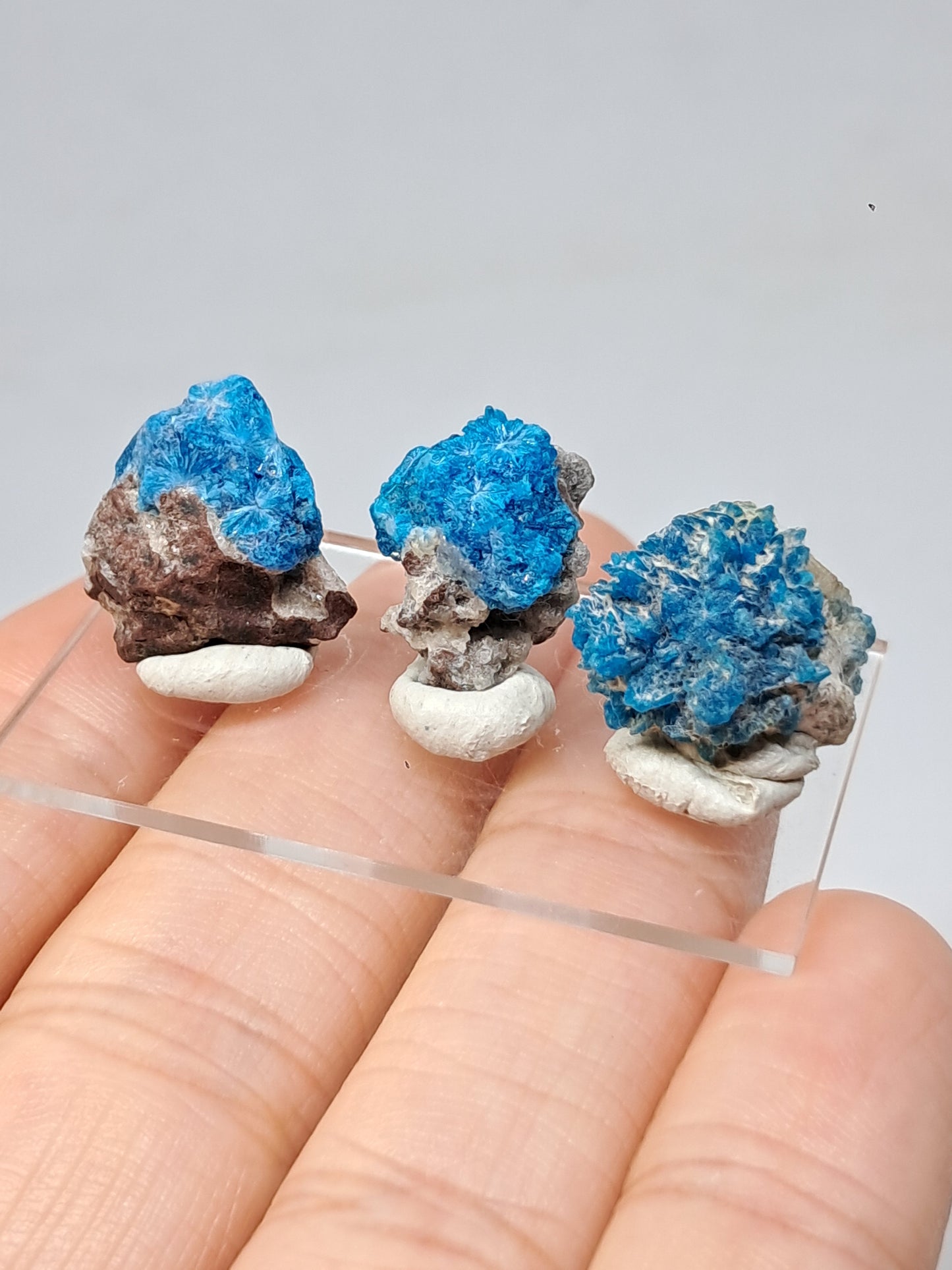 Conjunto de 3 pentagonitas en matriz (wagholi) en bruto | Cristal natural | Ejemplar mineral raro n.° CV43