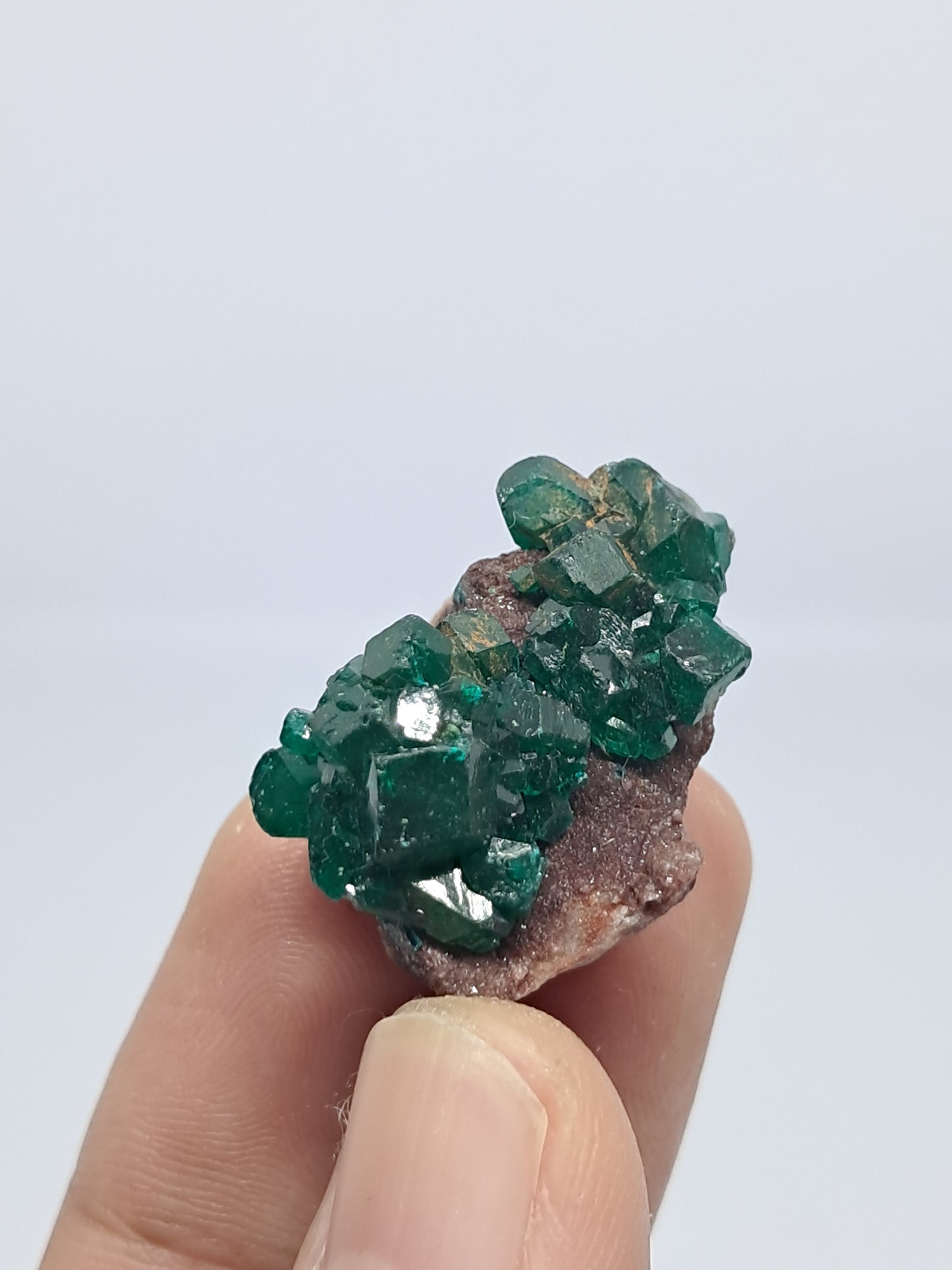 Dioptase on Matrix (Democratic Republic of Congo) Natural Cluster | Rough Crystal | Mineral Specimen #DPT10