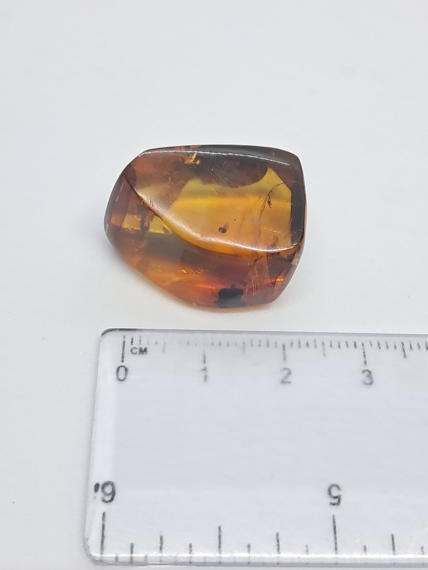 Polished Amber (Mexico) Natural Fossilized Resin | Mineral Specimen #AB3