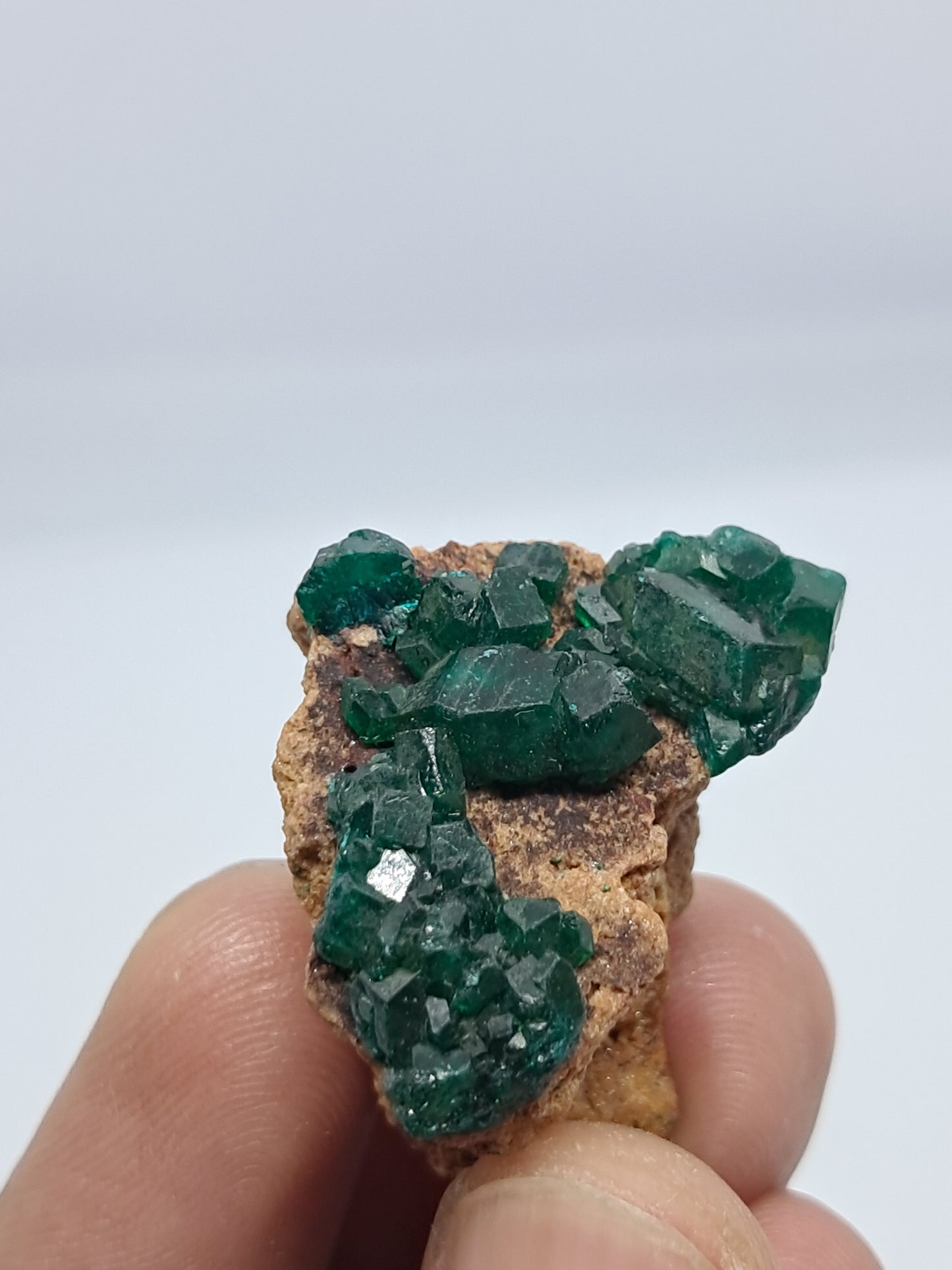 Dioptase on Matrix (Democratic Republic of Congo) Natural Cluster | Rough Crystal | Mineral Specimen) #DPT8