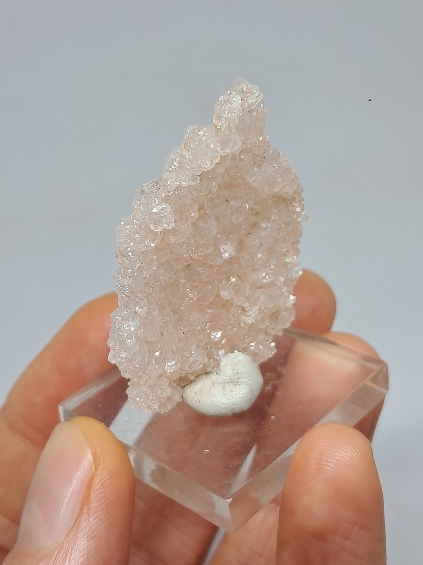 Pink Apophyllite On Quartz Floater Cluster (Ajanta) Natural Crystal | Mineral Specimen #APP1