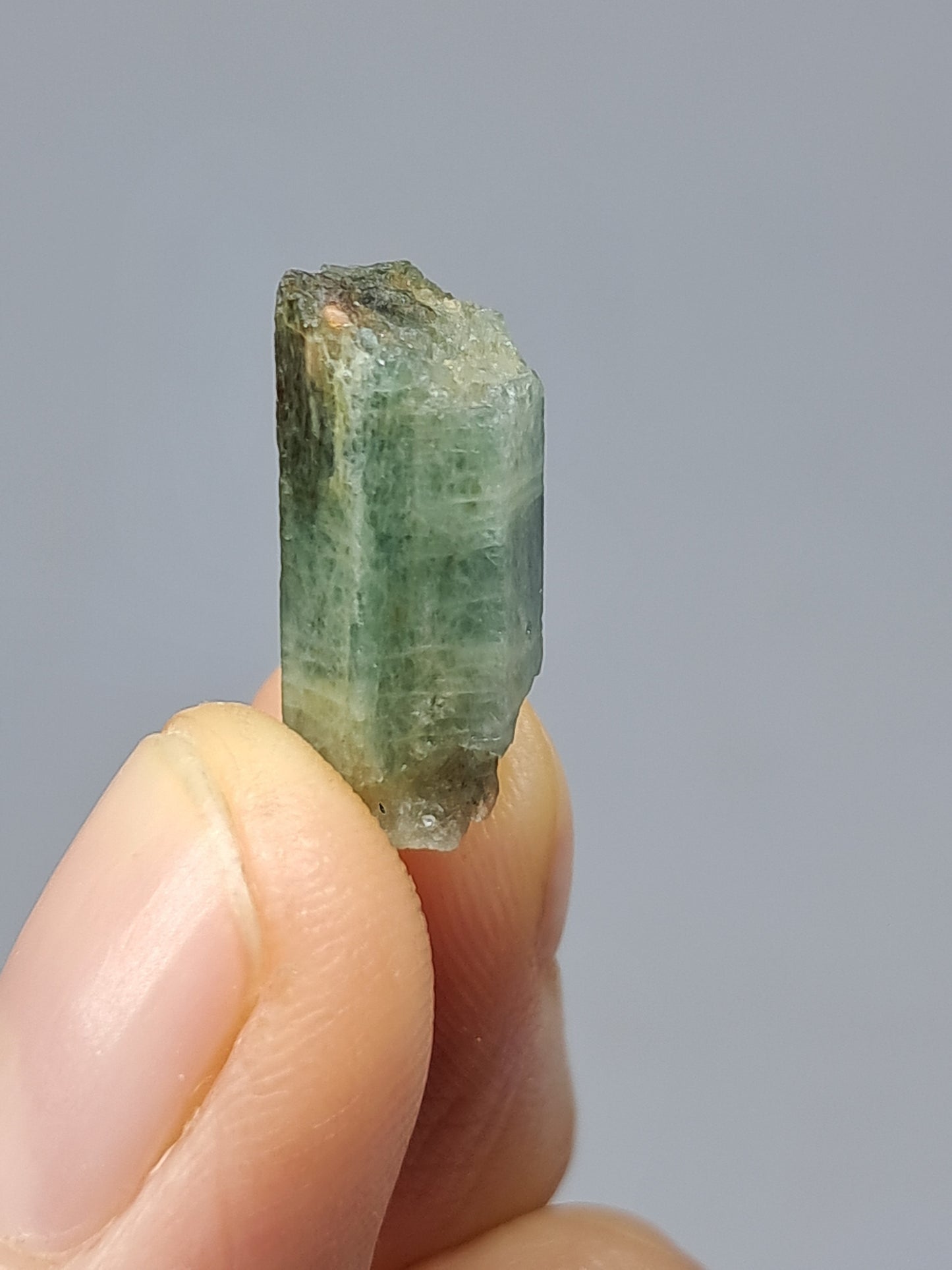 Aguamarina (Karur) Cristal hexagonal en bruto | Ejemplar mineral n.° AQM21