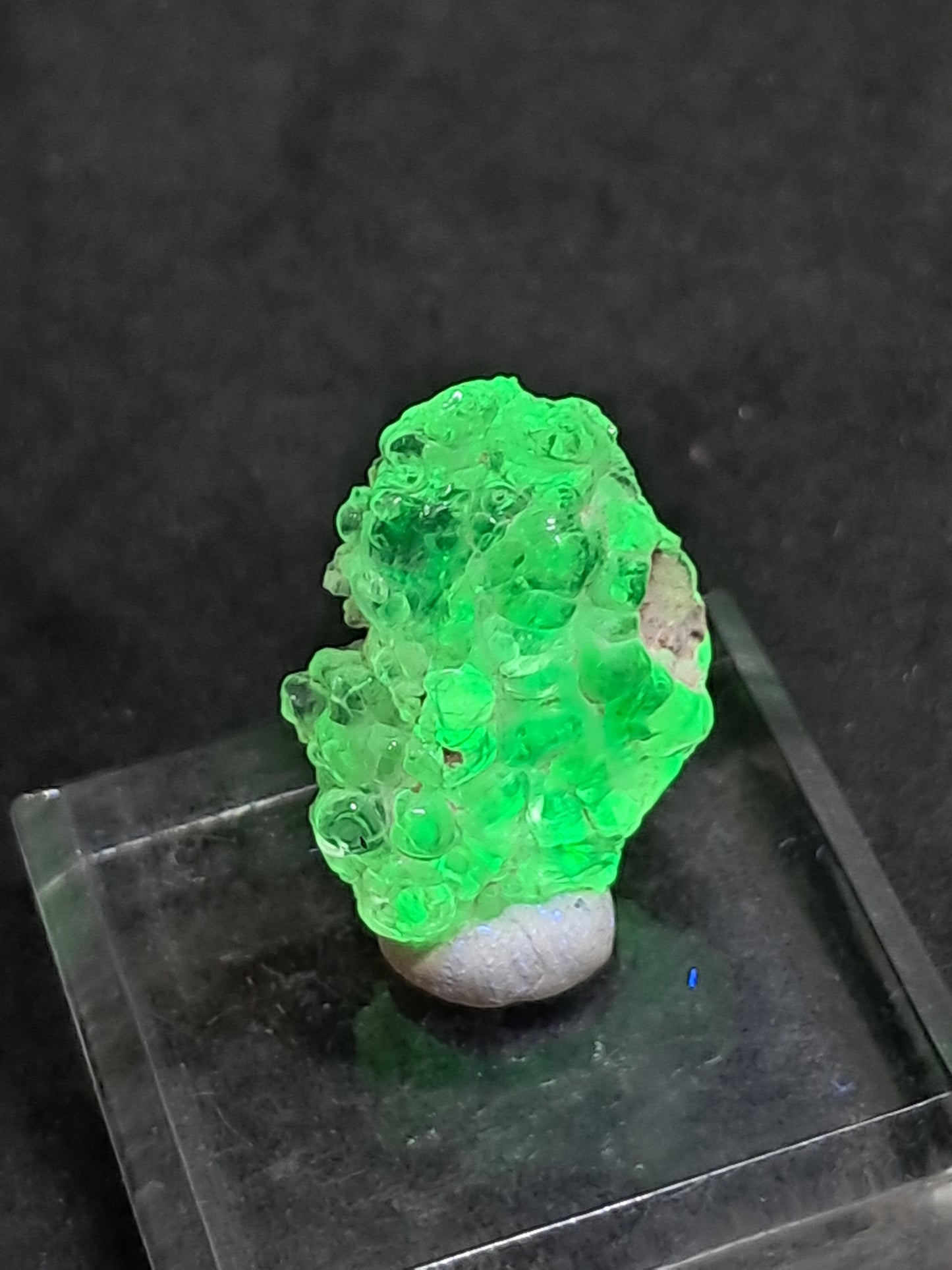 Ópalo hialita (México), cristal en bruto, piedra reactiva a los rayos UV | Ejemplar mineral n.° OH4