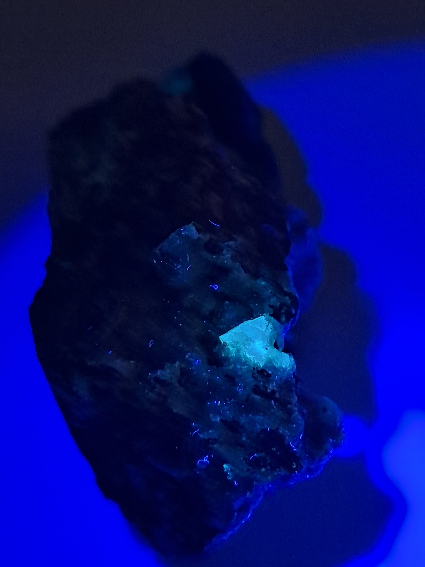 Cavansite and UV Reactive Calcite on Heulandite Matrix (Wagholi) Rough Stone | Natural Crystal | Rare Mineral Specimen #CV30