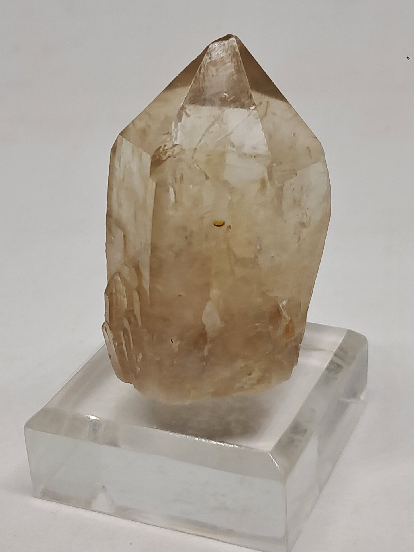 Natural Citrine "Kundalini" (Democratic Republic of Congo) Crystal Point | Mineral Specimen #CTN22