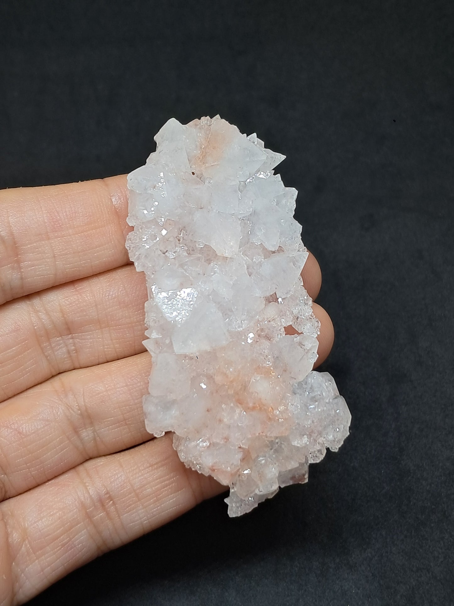 Octahedral Apophyllite Floater Cluster w/ Hematite (Ajanta) Natural Crystal | Mineral Specimen #AP33
