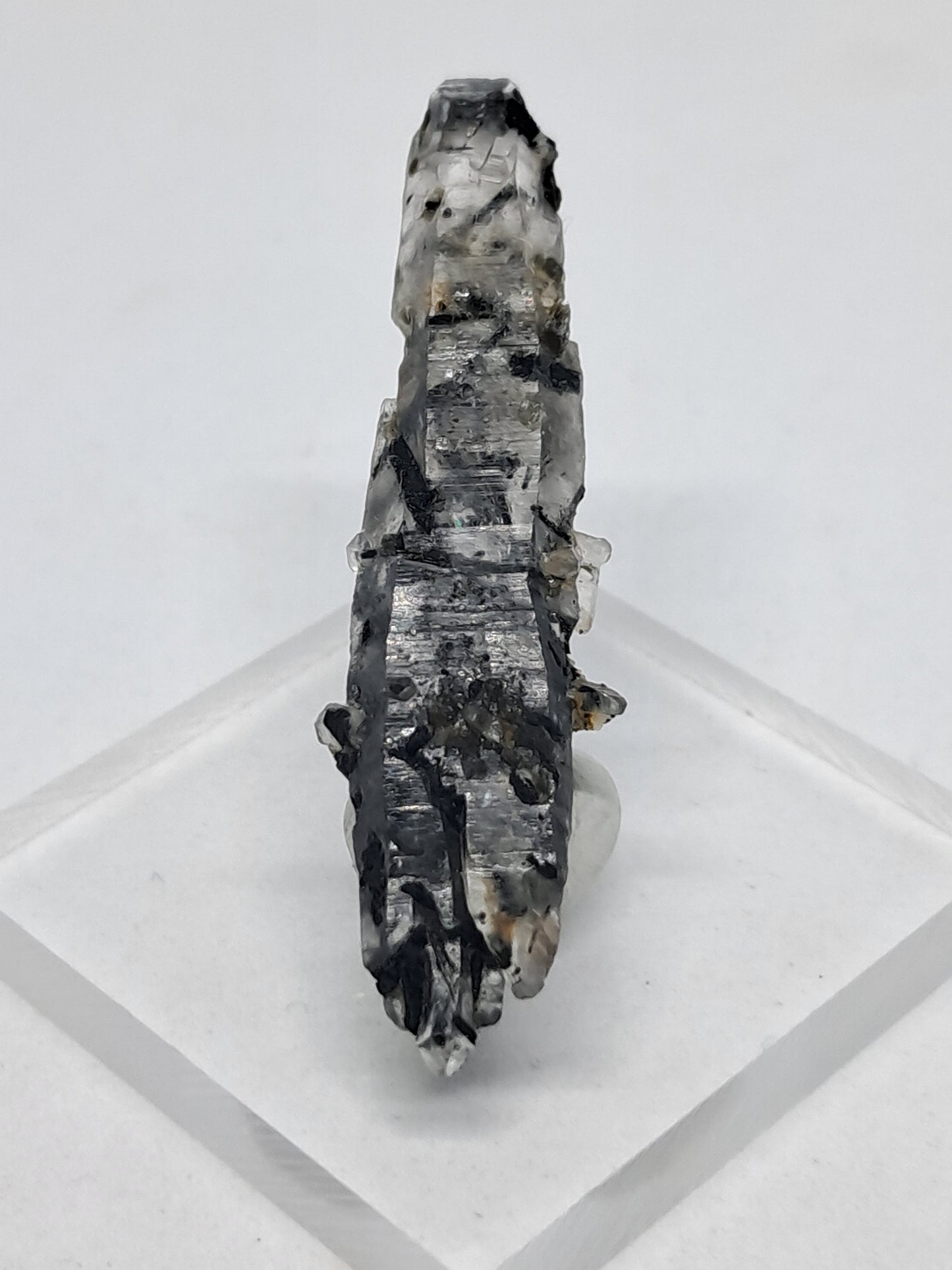 Tourmalinated Quartz natural crystal point (Non-precious natural stone) #TQ19