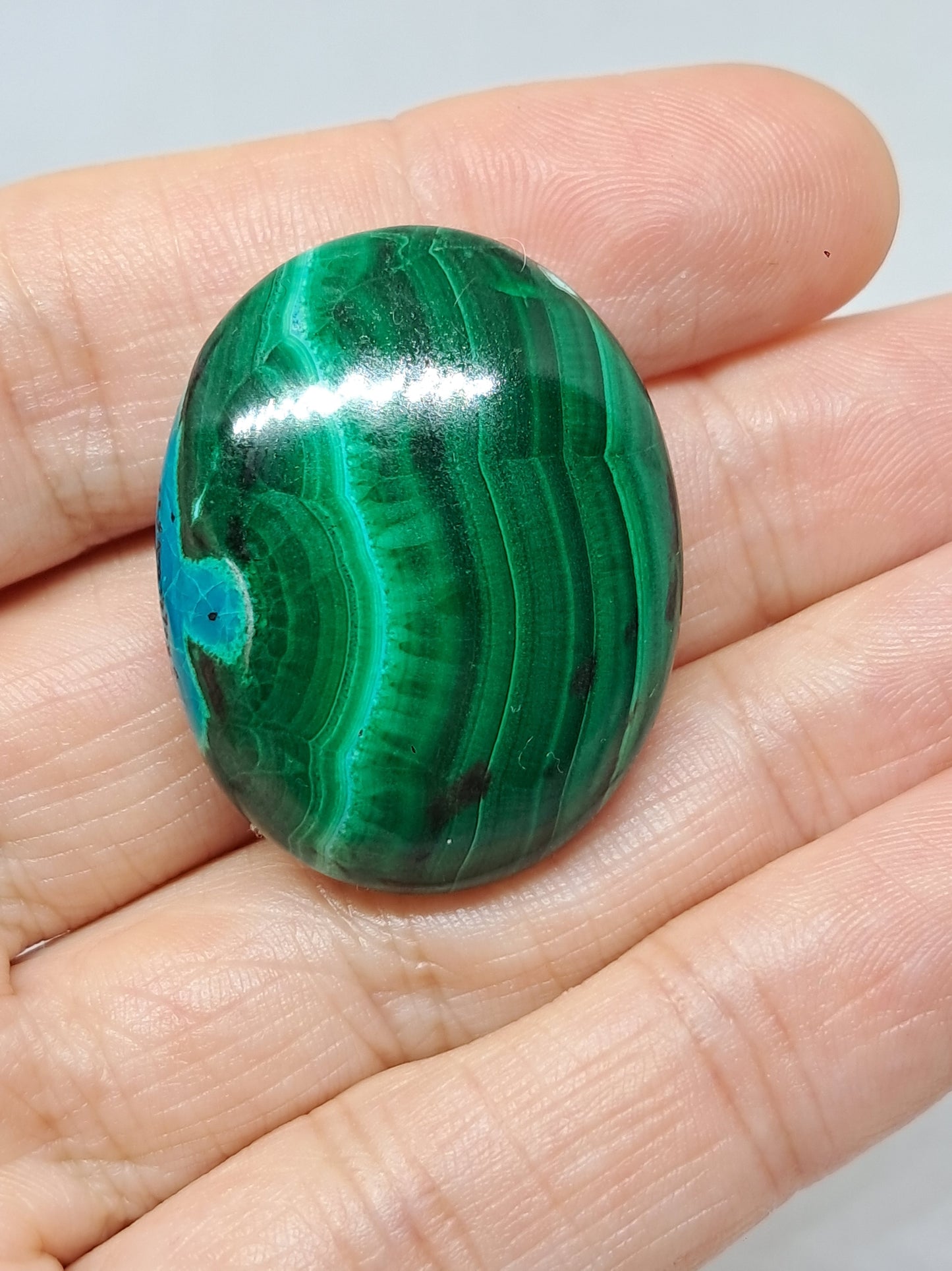 Chrysocolla Malachite Palmstone (Democratic Republic of Congo) Polished Natural Stone