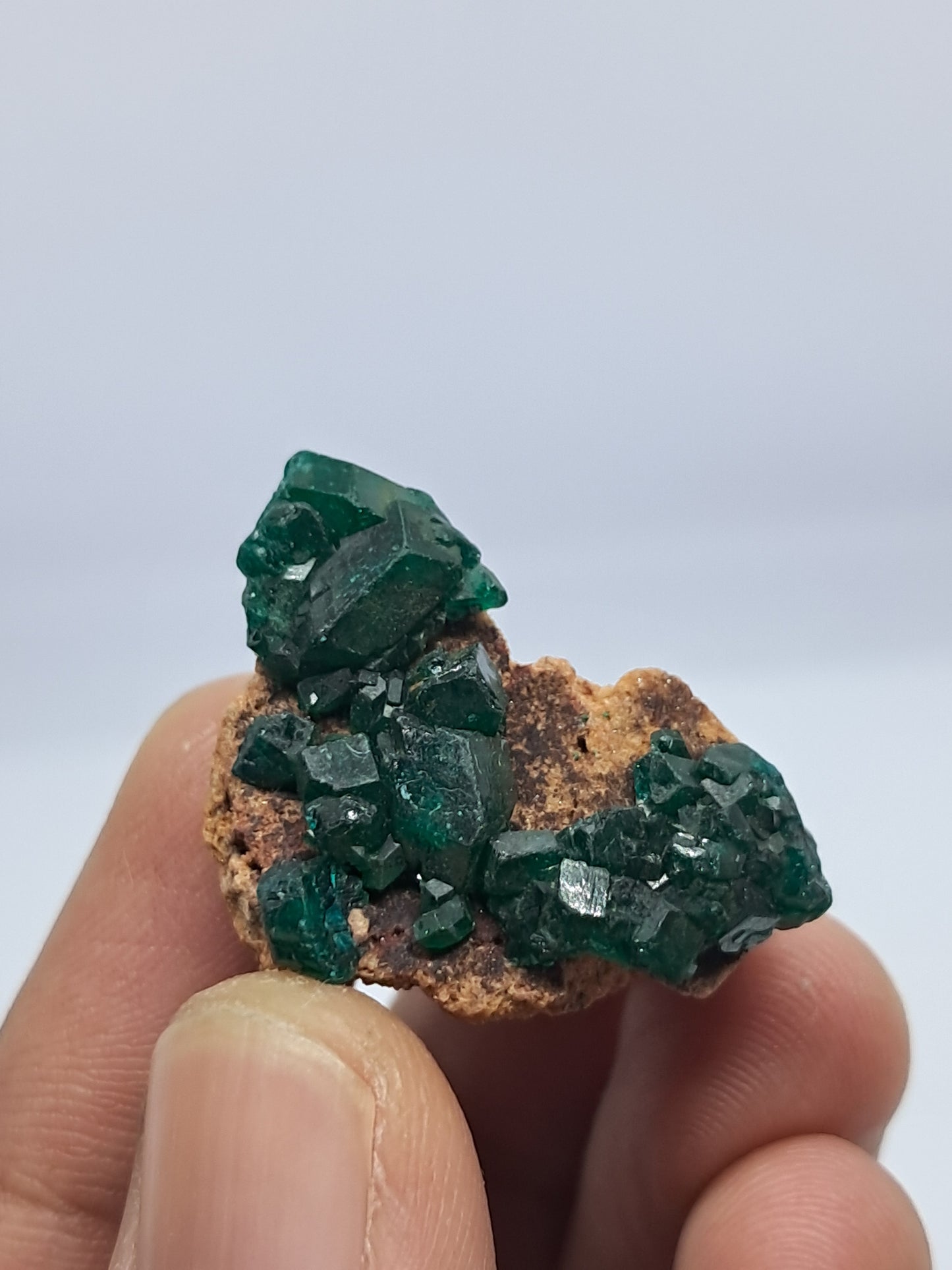 Dioptase on Matrix (Democratic Republic of Congo) Natural Cluster | Rough Crystal | Mineral Specimen) #DPT8