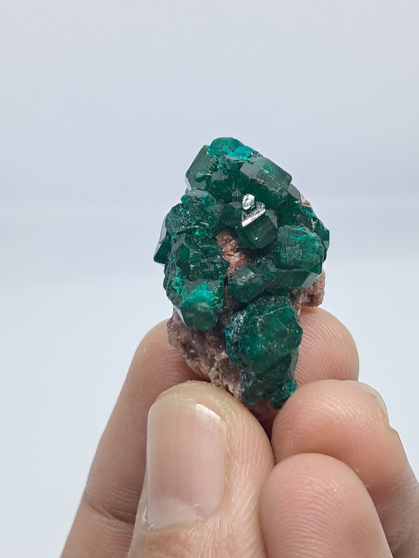 Dioptase (Democratic Republic of Congo) Natural Cluster | Rough Crystal | Mineral Specimen #DPT9
