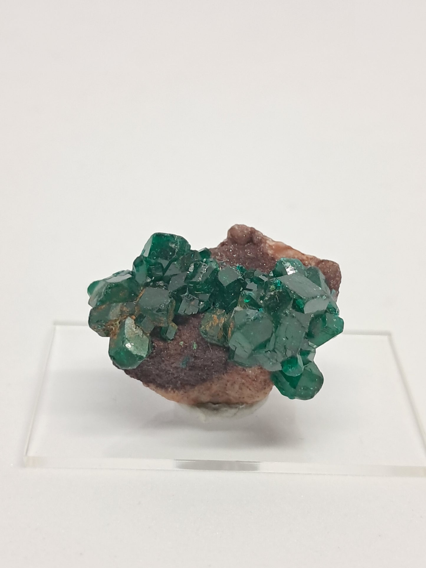 Dioptase on Matrix (Democratic Republic of Congo) Natural Cluster | Rough Crystal | Mineral Specimen #DPT10