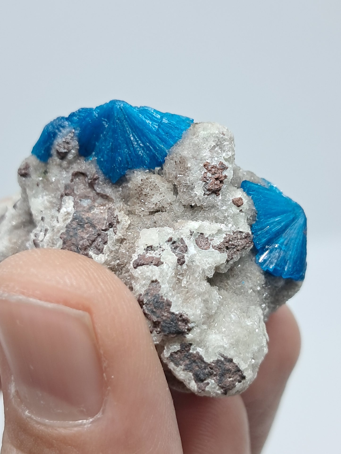 Cavansite on Heulandite Matrix (Wagholi) Rough Stone | Natural Crystal | Rare Mineral Specimen #CV35