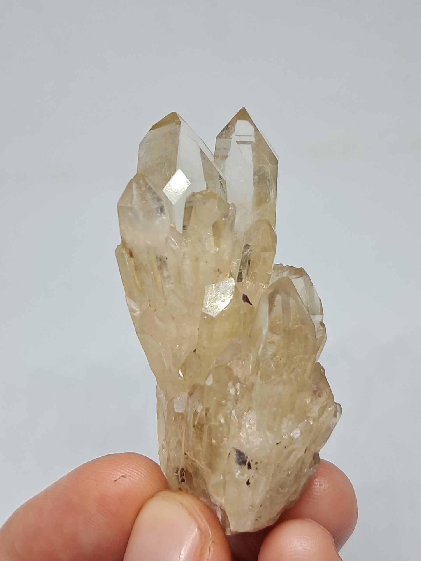 Natural Citrine "Kundalini" (Democratic Republic of Congo) Crystal Point | Mineral Specimen #CTN9