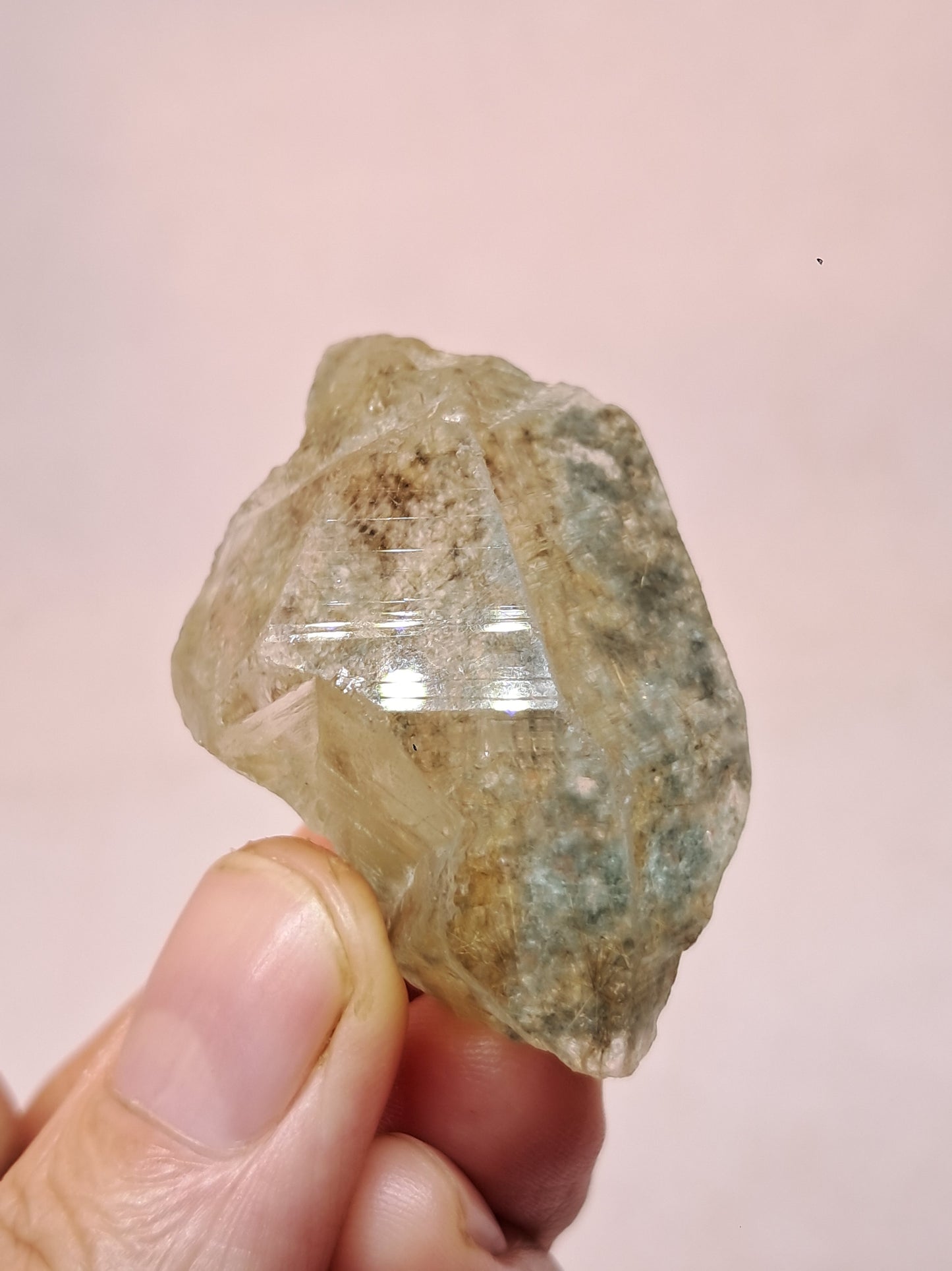 Quartz w/ Chlorite and Golden Rutile Inclusions (Himachal Pradesh) Rough Stone | Natural Crystal | Mineral Specimen #CH40