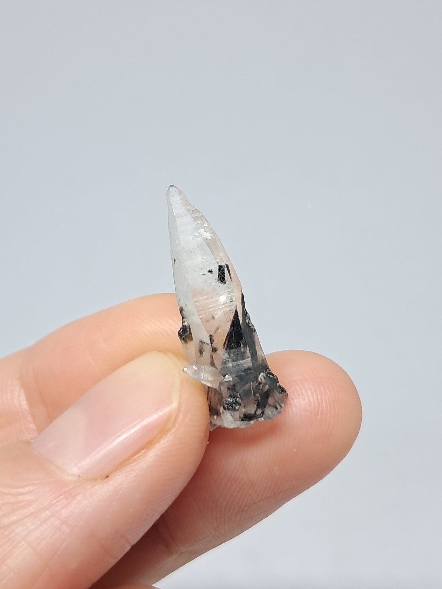Tourmalinated Quartz Crystal Point (Non-precious stone) #TQ25