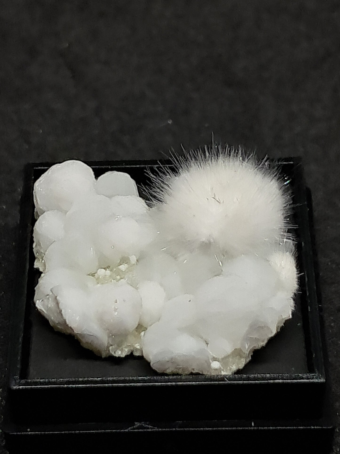 Okenite on Gyrolite permanently mounted in box (non-precious mineral) #OK1