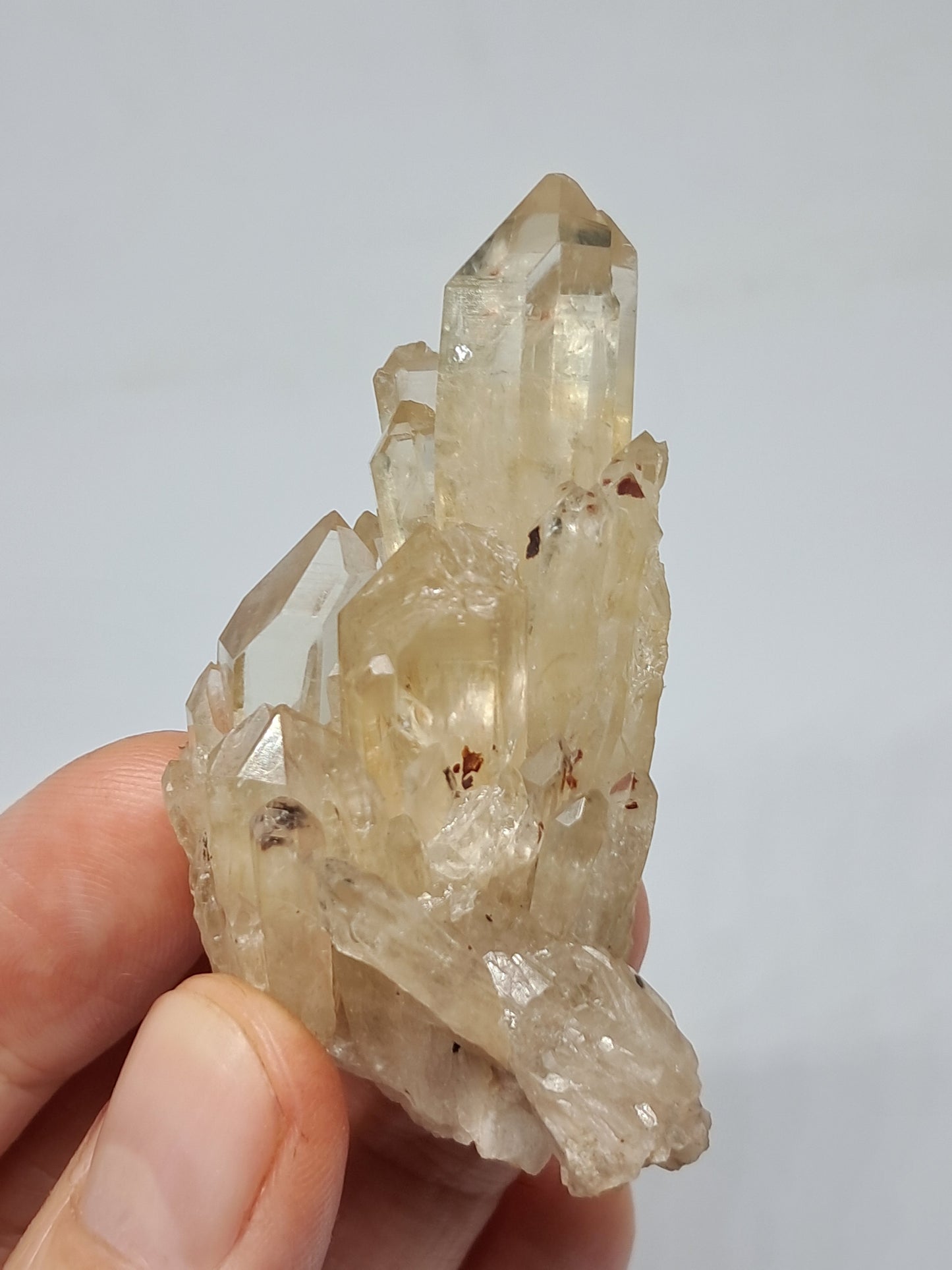 Natural Citrine "Kundalini" (Democratic Republic of Congo) Crystal Point | Mineral Specimen #CTN9