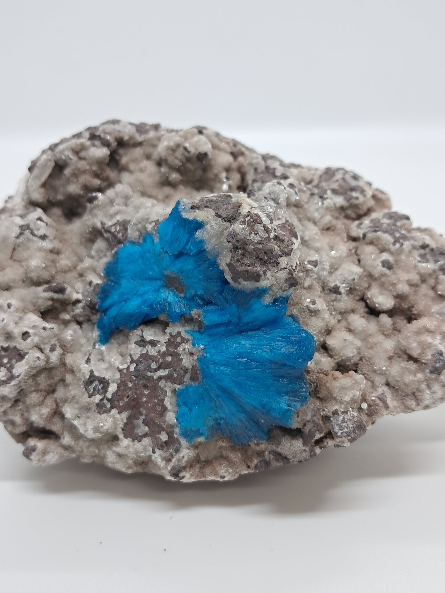 Cavansite on Heulandite Matrix (Wagholi) Rough Stone | Natural Crystal | Rare Mineral Specimen #CV33