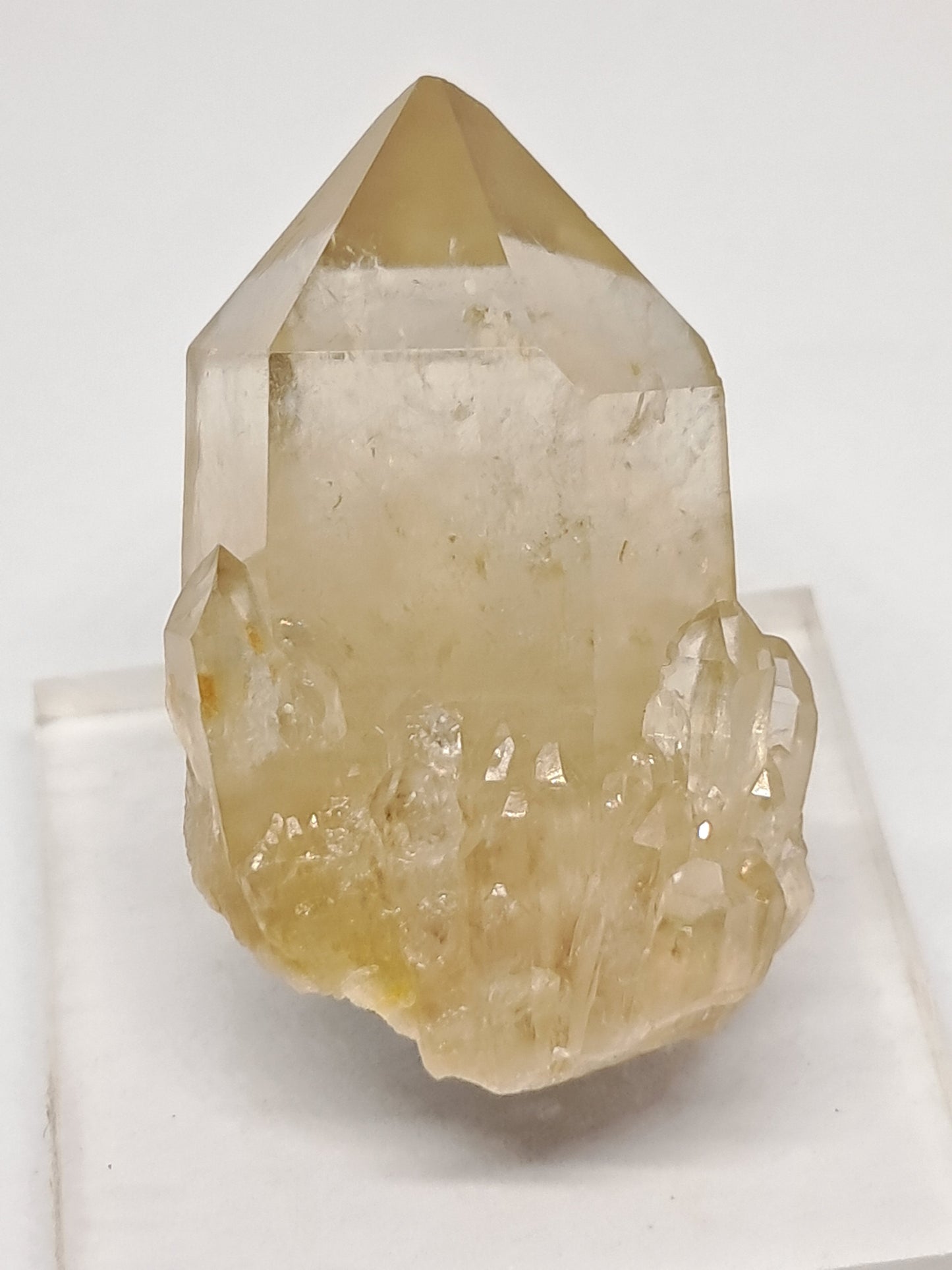 Natural Citrine "Kundalini" (Democratic Republic of Congo) Crystal Point | Mineral Specimen #CTN12
