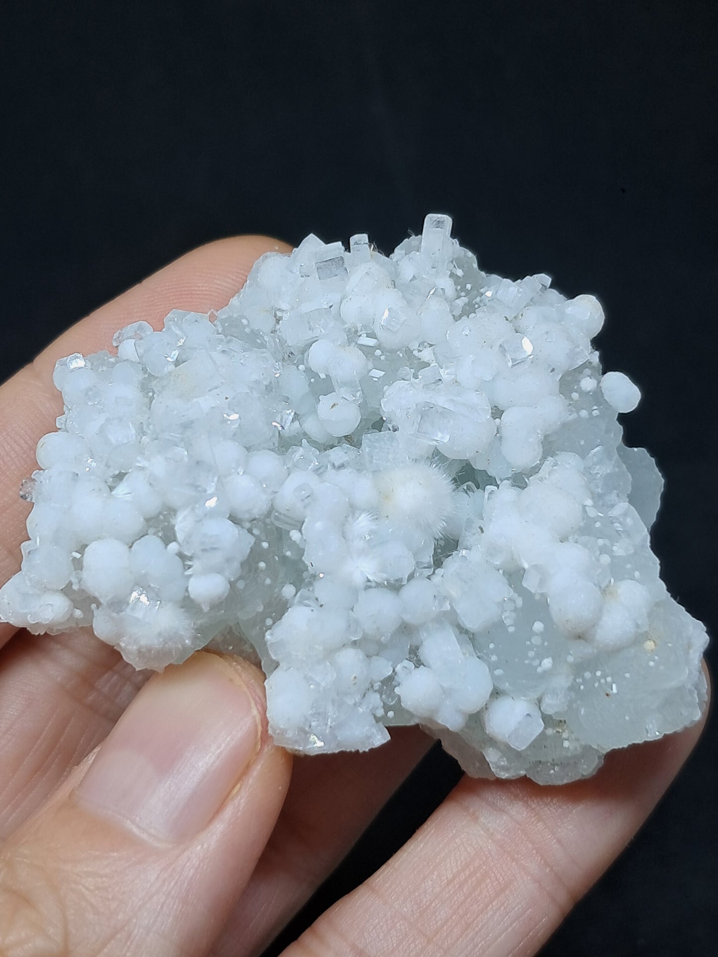 Okenite w/ Gyrolite and Apophyllite on Prehenite Matrix (Mumbai) Mineral Specimen | Collector Grade | Natural Crystal #OK23