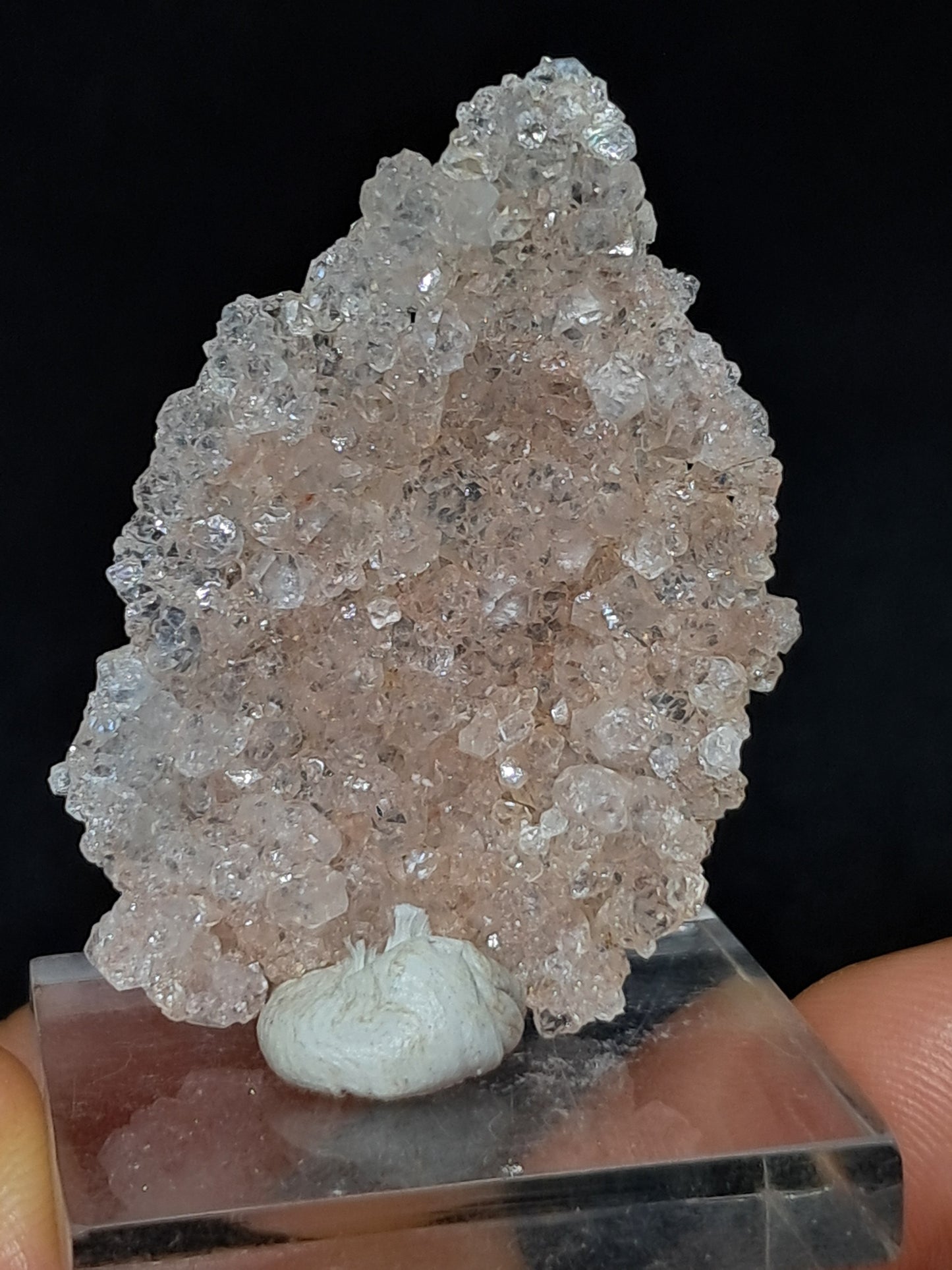 Pink Apophyllite On Quartz Floater Cluster (Ajanta) Natural Crystal | Mineral Specimen #APP1