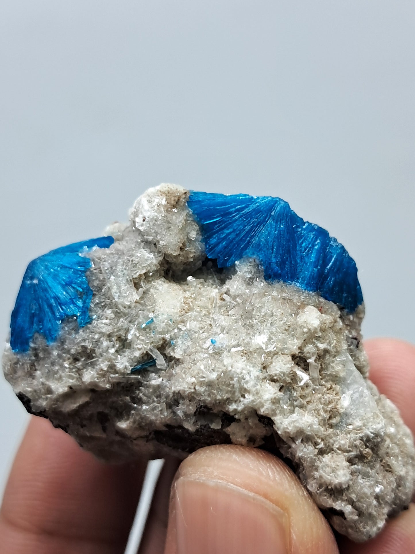 Cavansite on Heulandite Matrix (Wagholi) Rough Stone | Natural Crystal | Rare Mineral Specimen #CV35