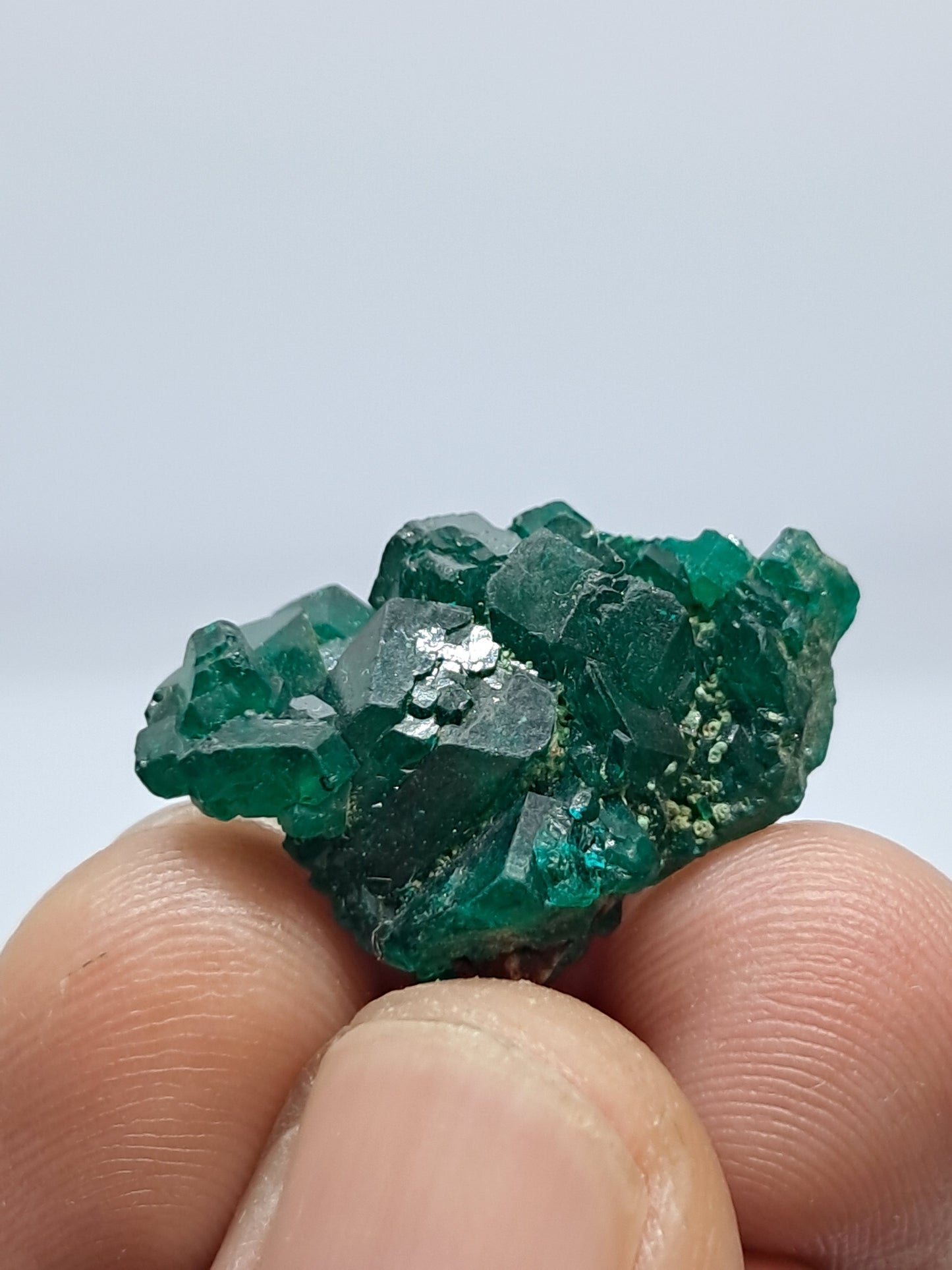 Dioptase (Democratic Republic of Congo) Natural Cluster | Rough Crystal | Mineral Specimen #DPT3