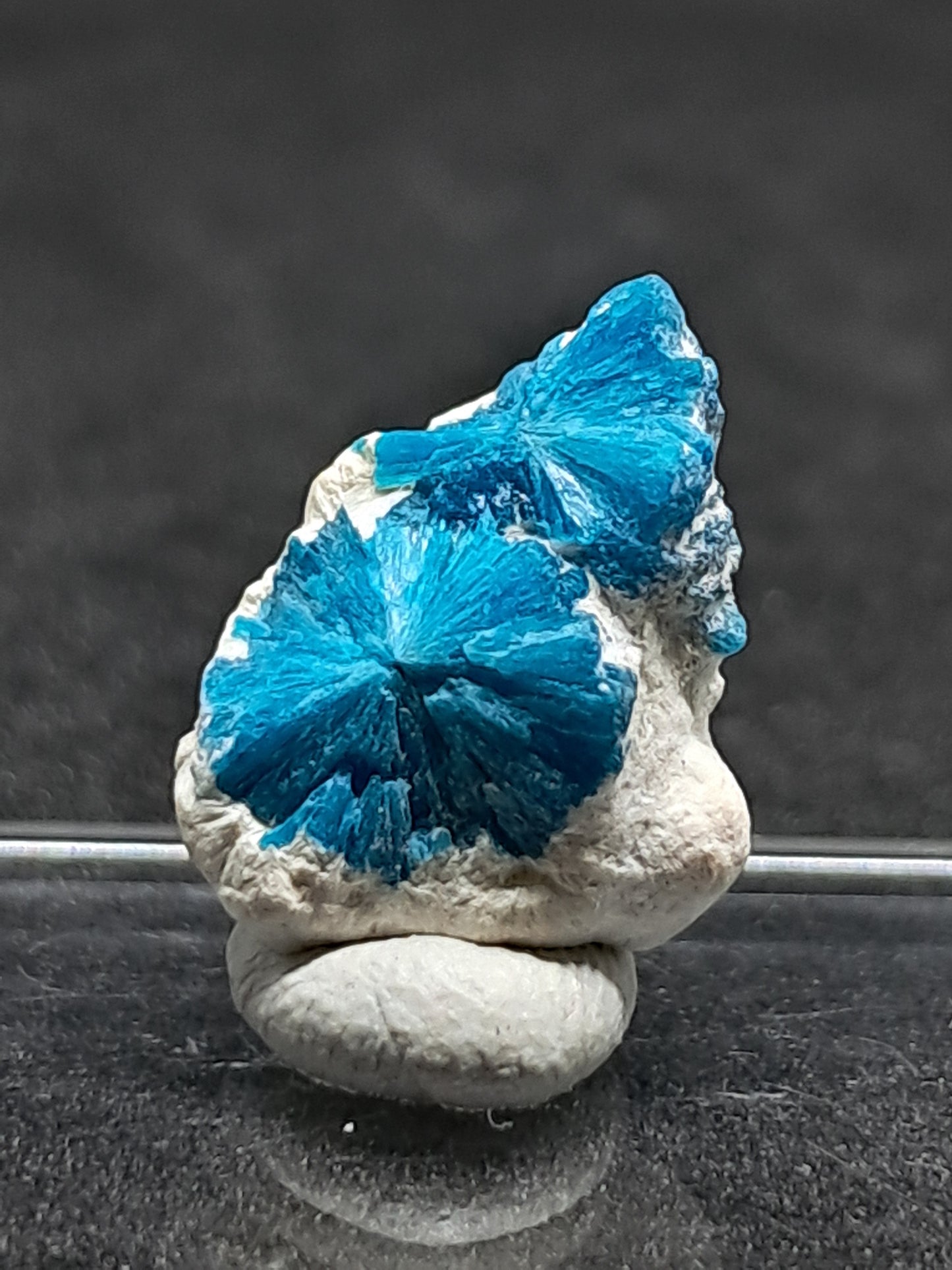 Floater Cavansites in Okenite Matrix (Pune) Rough Stone | Natural Crystal | Rare Mineral Specimen #CV25