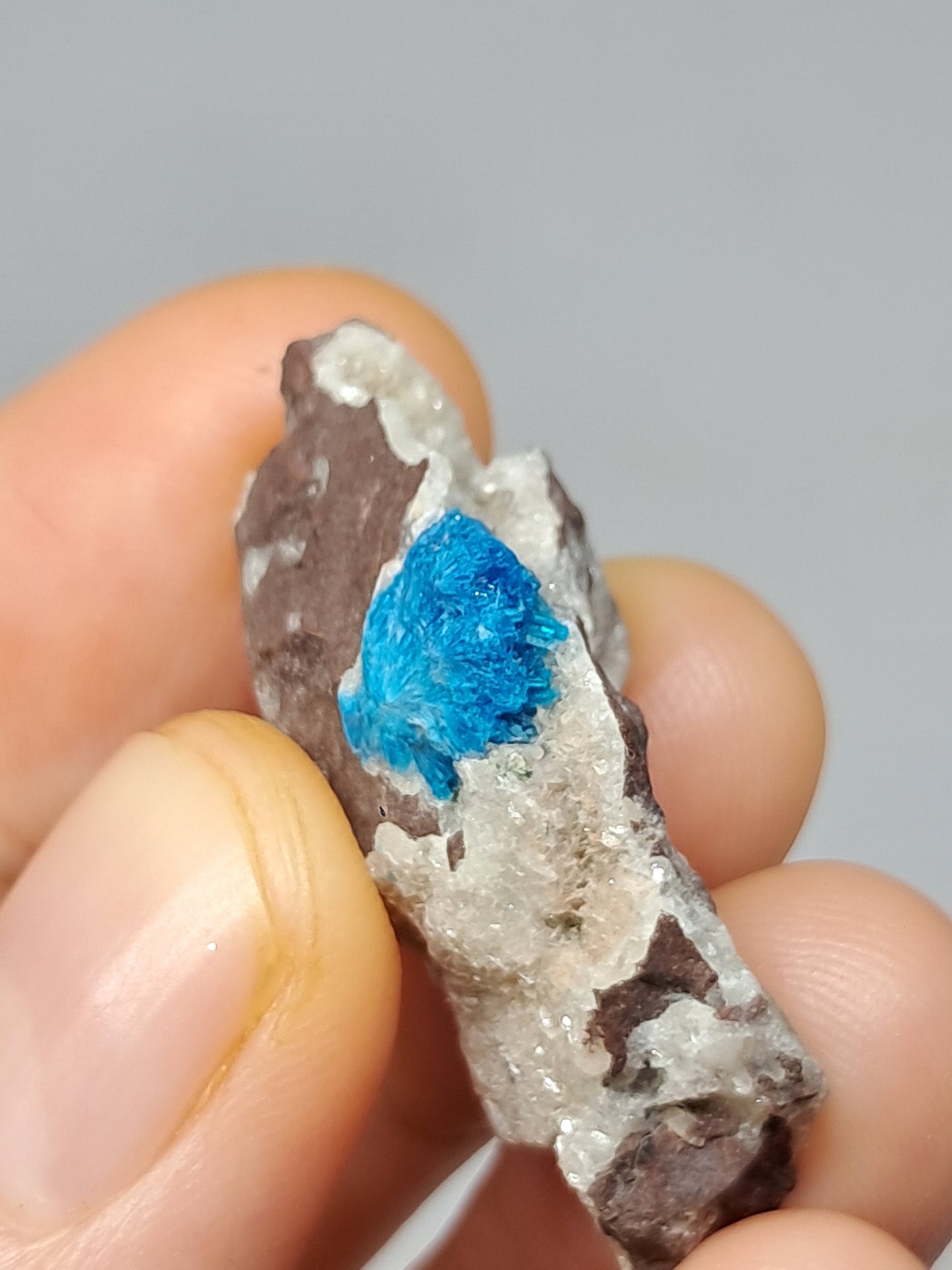 Set of Cavansite & Pentagonite on Matrix (Wagholi) Rough Stone | Natural Crystal | Rare Mineral Specimen #CV42