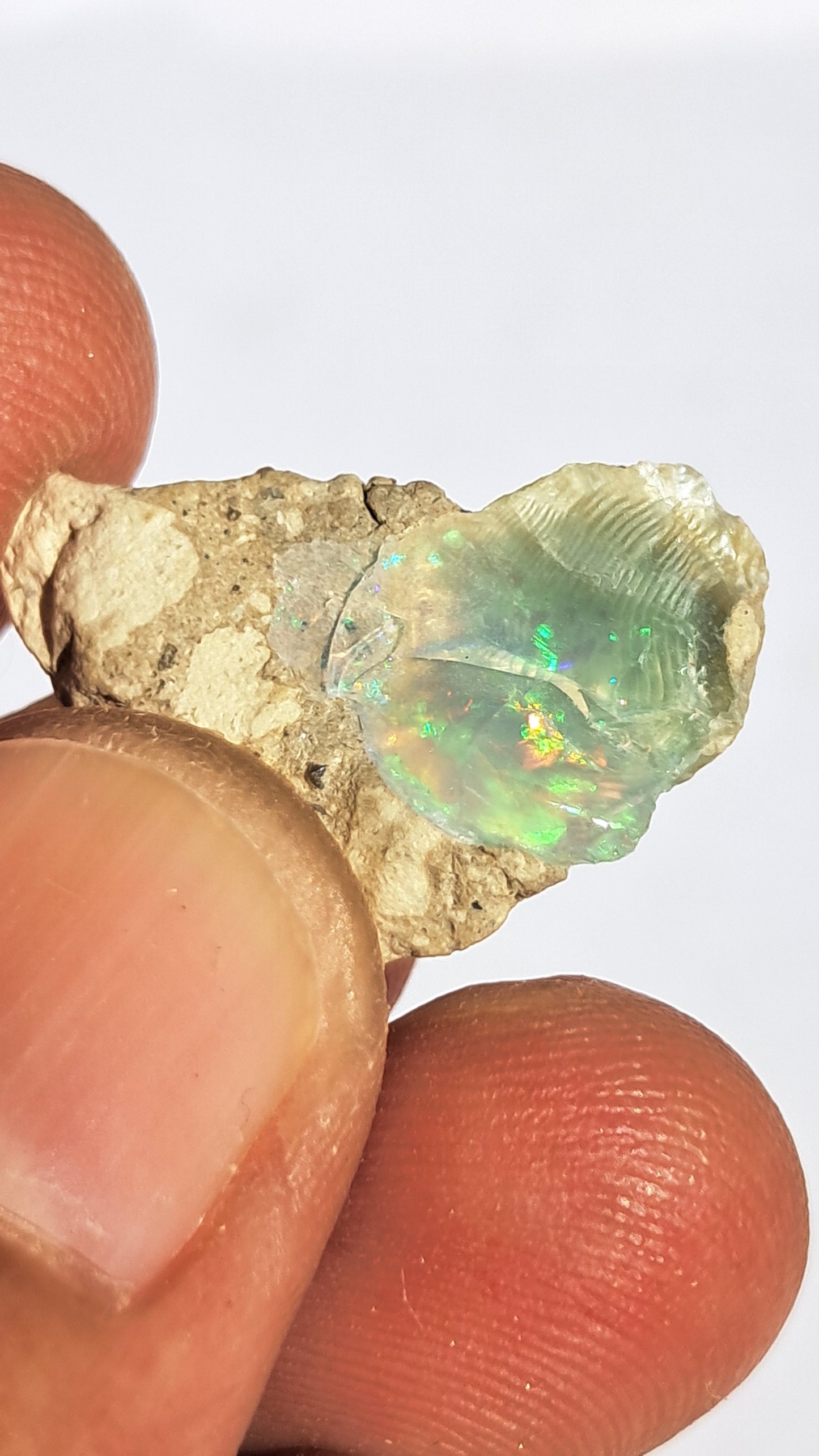 Natural Ethiopian Opal Rough | White Hydrophane Opal w/ Bright Play of Color #OP2