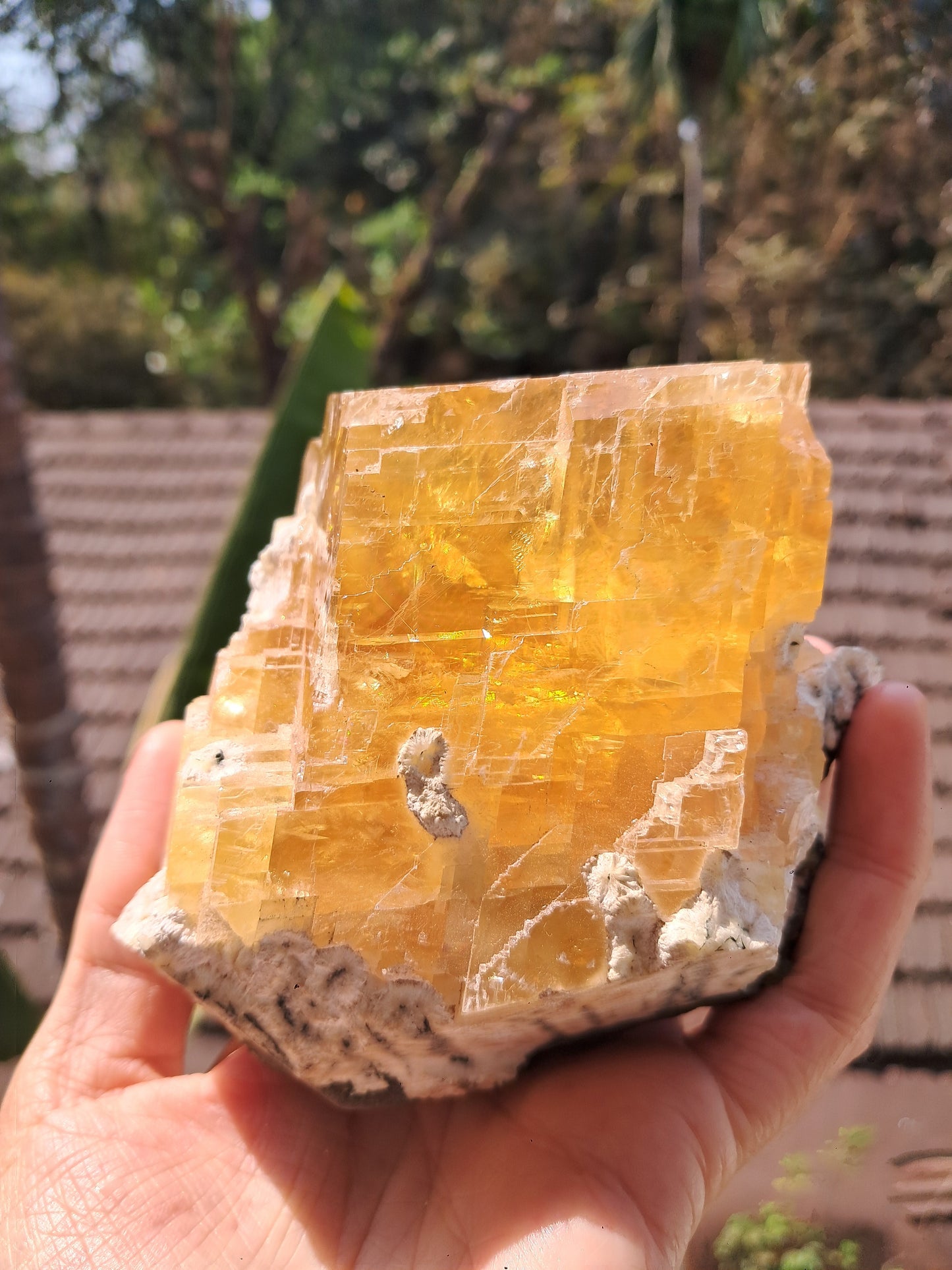 Calcita miel con okenita (India), cristal L en bruto | Piedra natural | Ejemplar mineral n.° CA28
