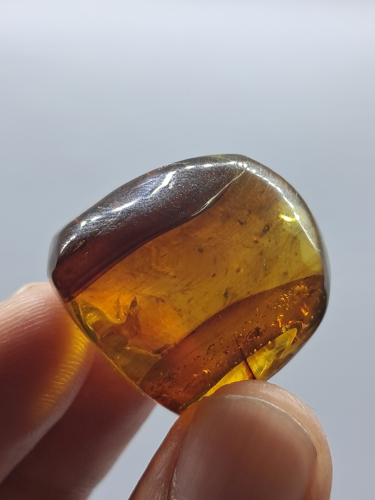 Polished Amber (Mexico) Natural Fossilized Resin | Mineral Specimen #AB2
