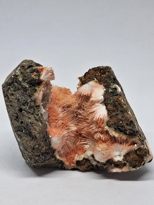 Mesolite w/ Hematite Inclusion (Madhya Pradesh) Natural Crystal| Mineral Specimen #MS2