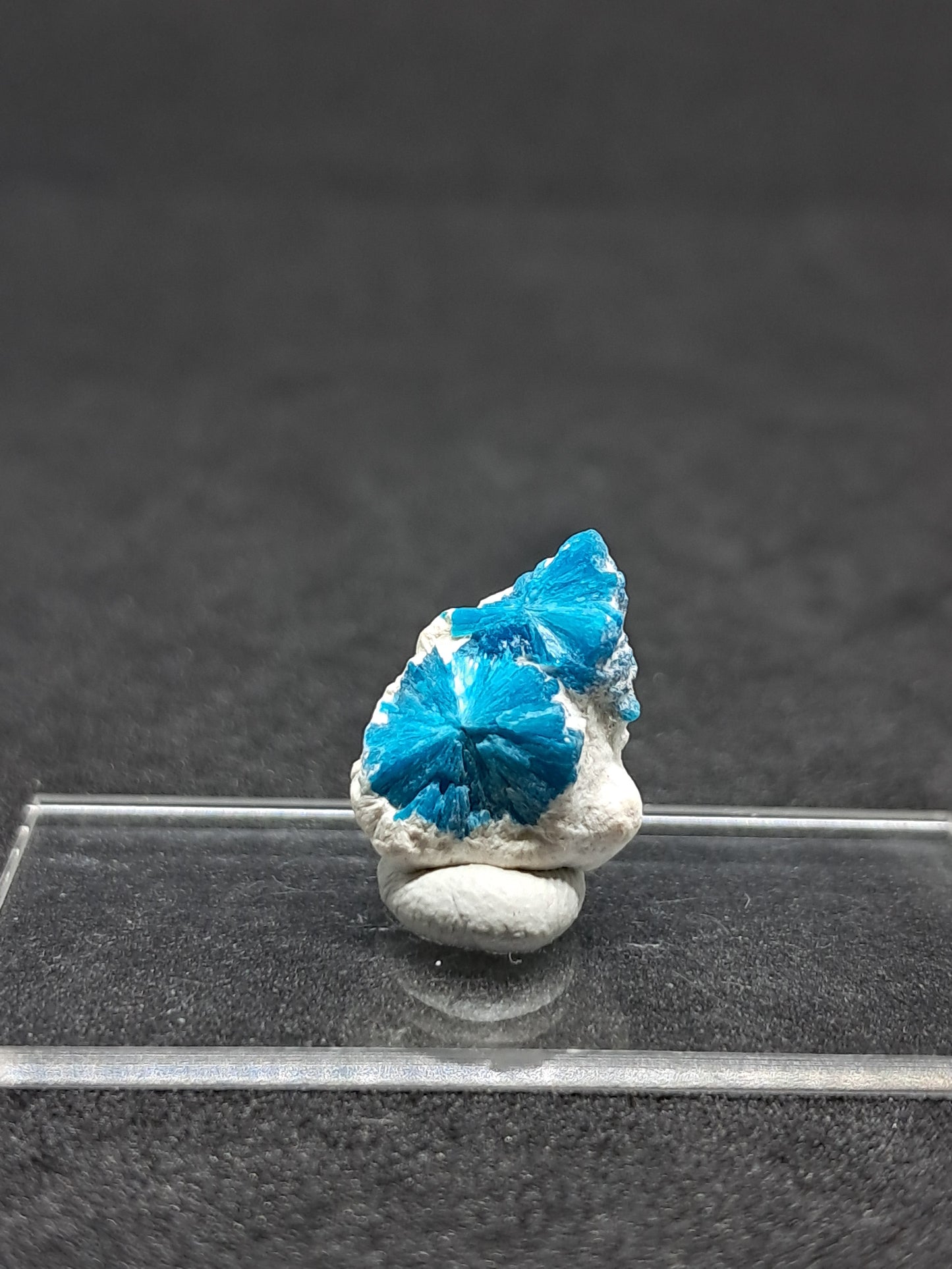 Floater Cavansites in Okenite Matrix (Pune) Rough Stone | Natural Crystal | Rare Mineral Specimen #CV25