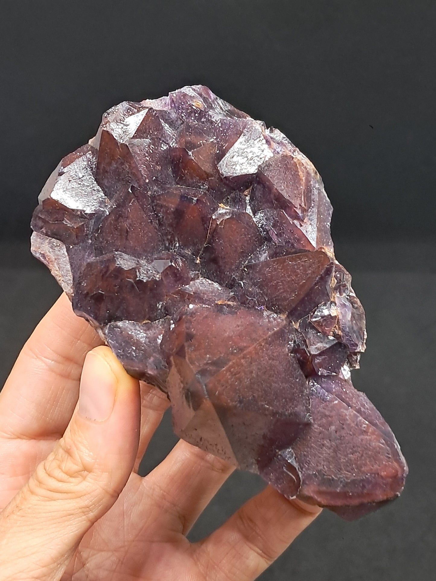 Amethyst Cluster w/ Hematite Inclusions & Record Keepers (Madhya Pradesh) | Mineral Specimen | Natural Stone #AM9