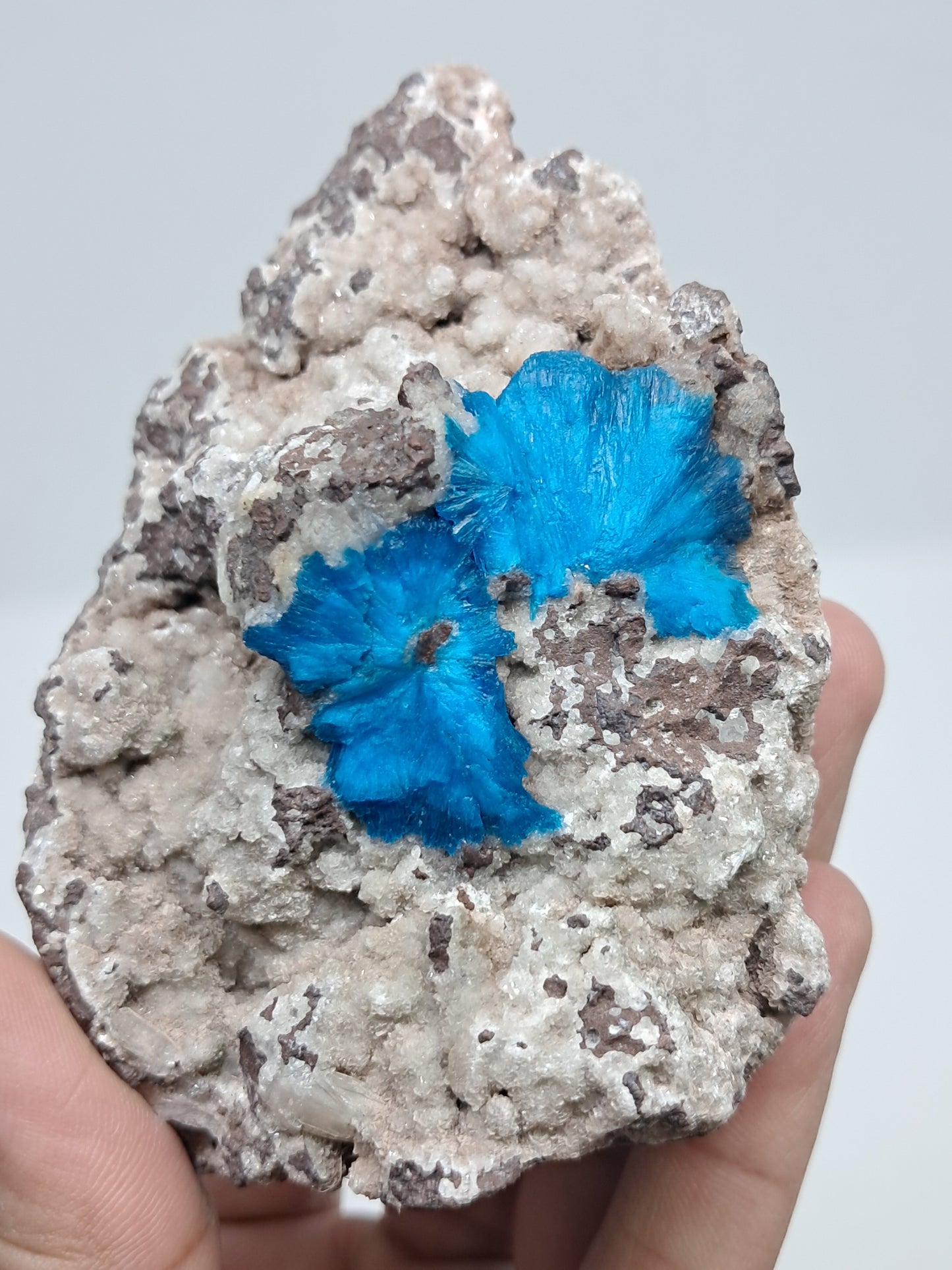 Cavansite on Heulandite Matrix (Wagholi) Rough Stone | Natural Crystal | Rare Mineral Specimen #CV33