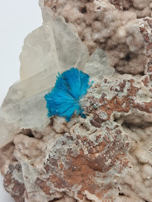 Cavansite and UV Reactive Calcite on Heulandite Matrix (Wagholi) Rough Stone | Natural Crystal | Rare Mineral Specimen #CV28