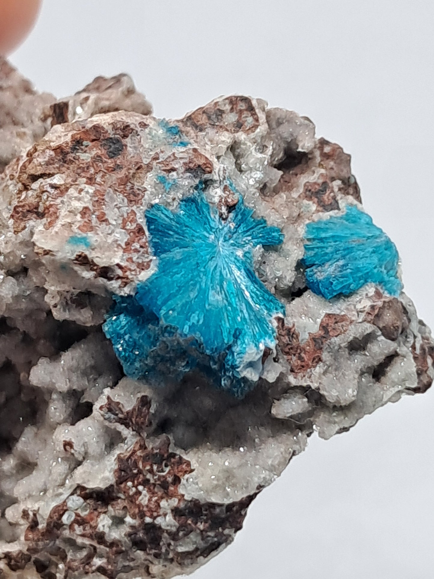 Cavansite on Heulandite Matrix (Wagholi) Rough Stone | Natural Crystal | Rare Mineral Specimen #CV11