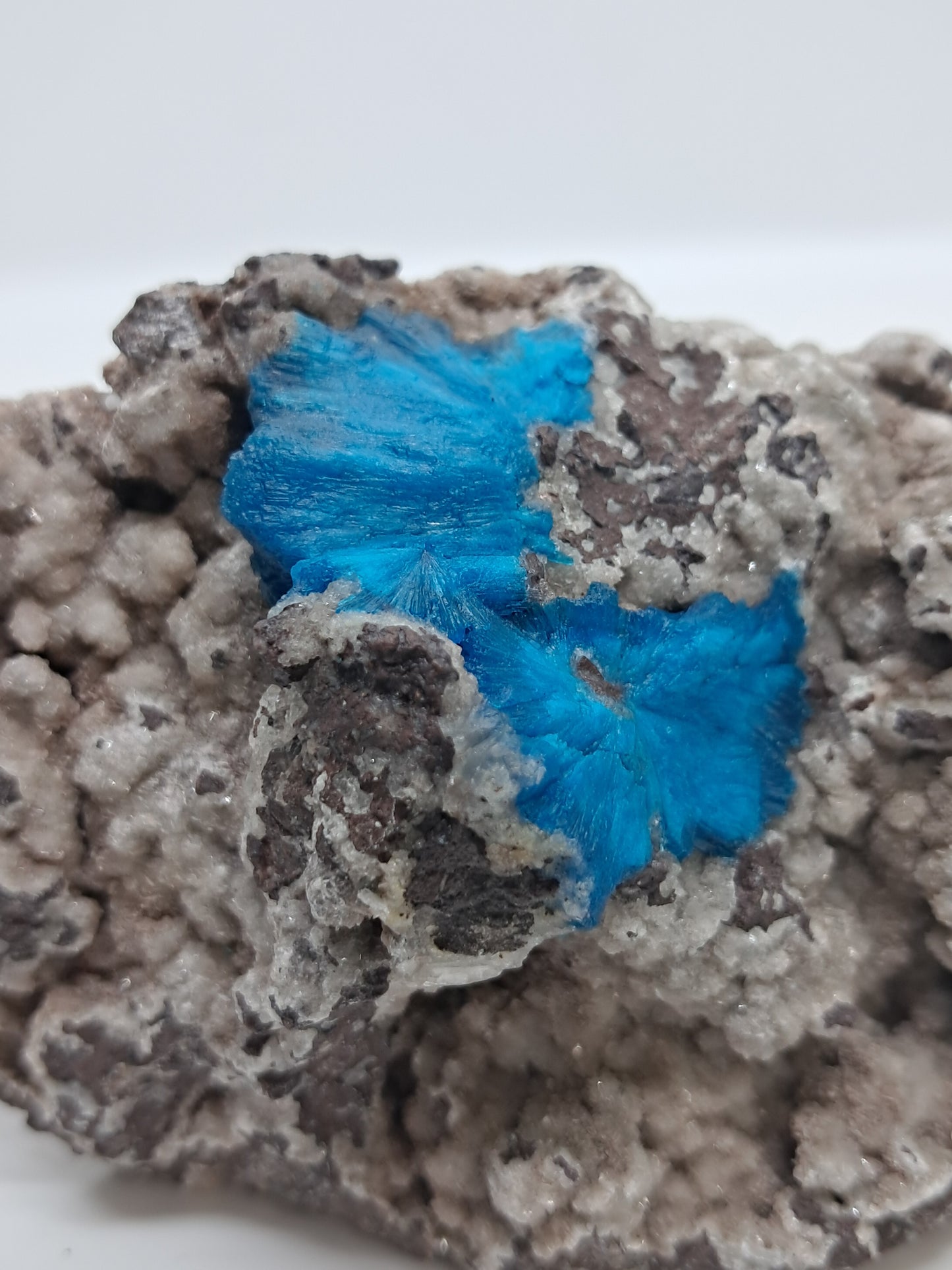 Cavansite on Heulandite Matrix (Wagholi) Rough Stone | Natural Crystal | Rare Mineral Specimen #CV33