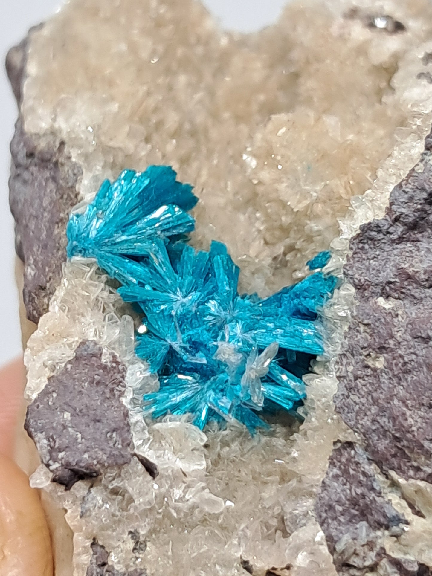 Cavansite on Heulandite Matrix (Wagholi) Rough Stone | Natural Crystal | Rare Mineral Specimen #CV18