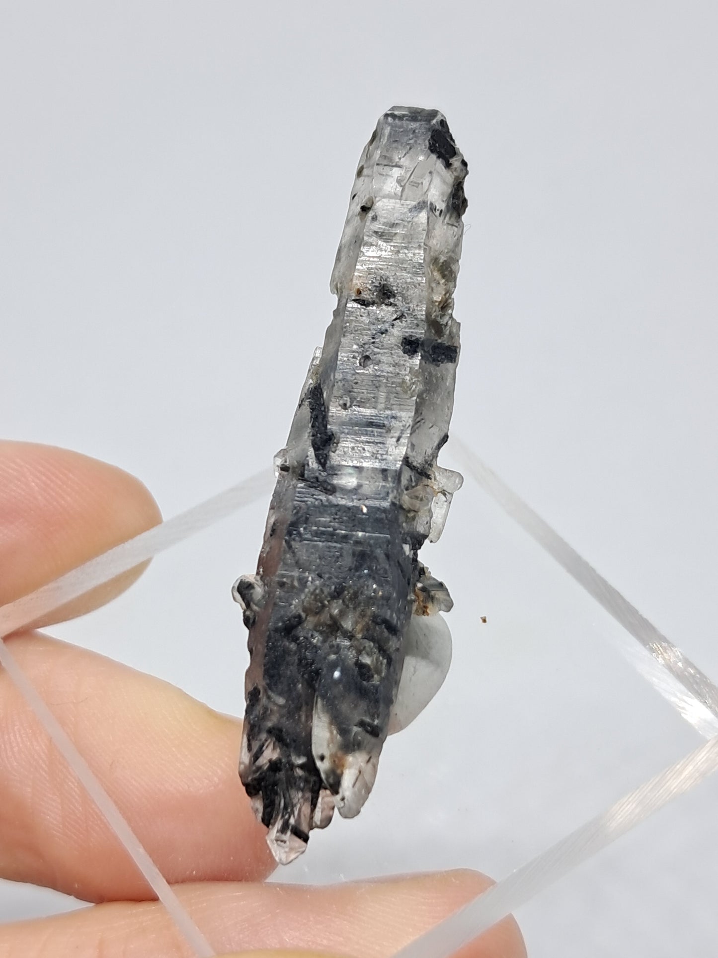 Tourmalinated Quartz natural crystal point (Non-precious natural stone) #TQ19