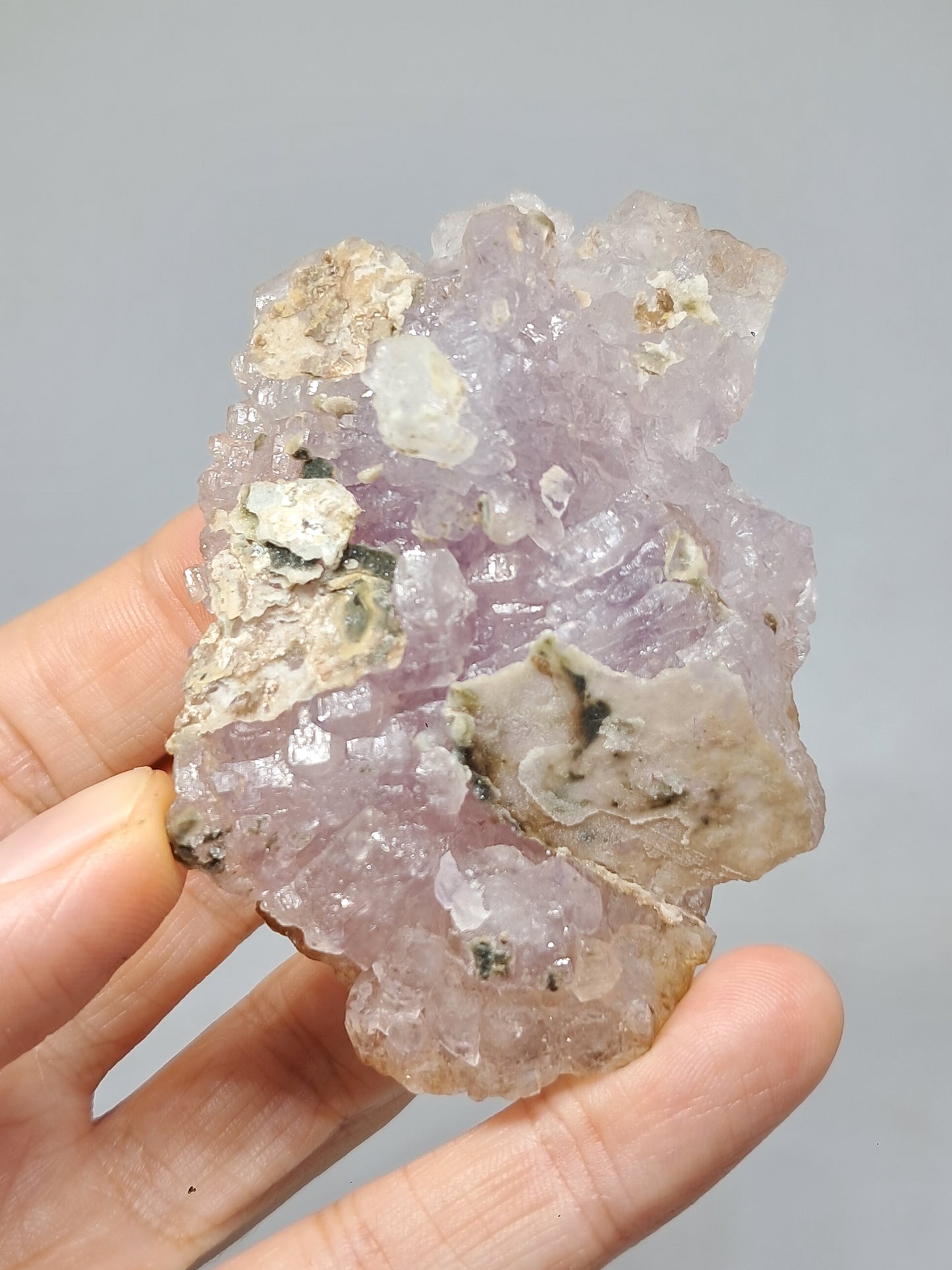 Cúmulo de amatista en cetro con óxido de hierro en forma de panal (Karur) | Cristal en bruto | Piedra natural | Ejemplar mineral n.° KA150