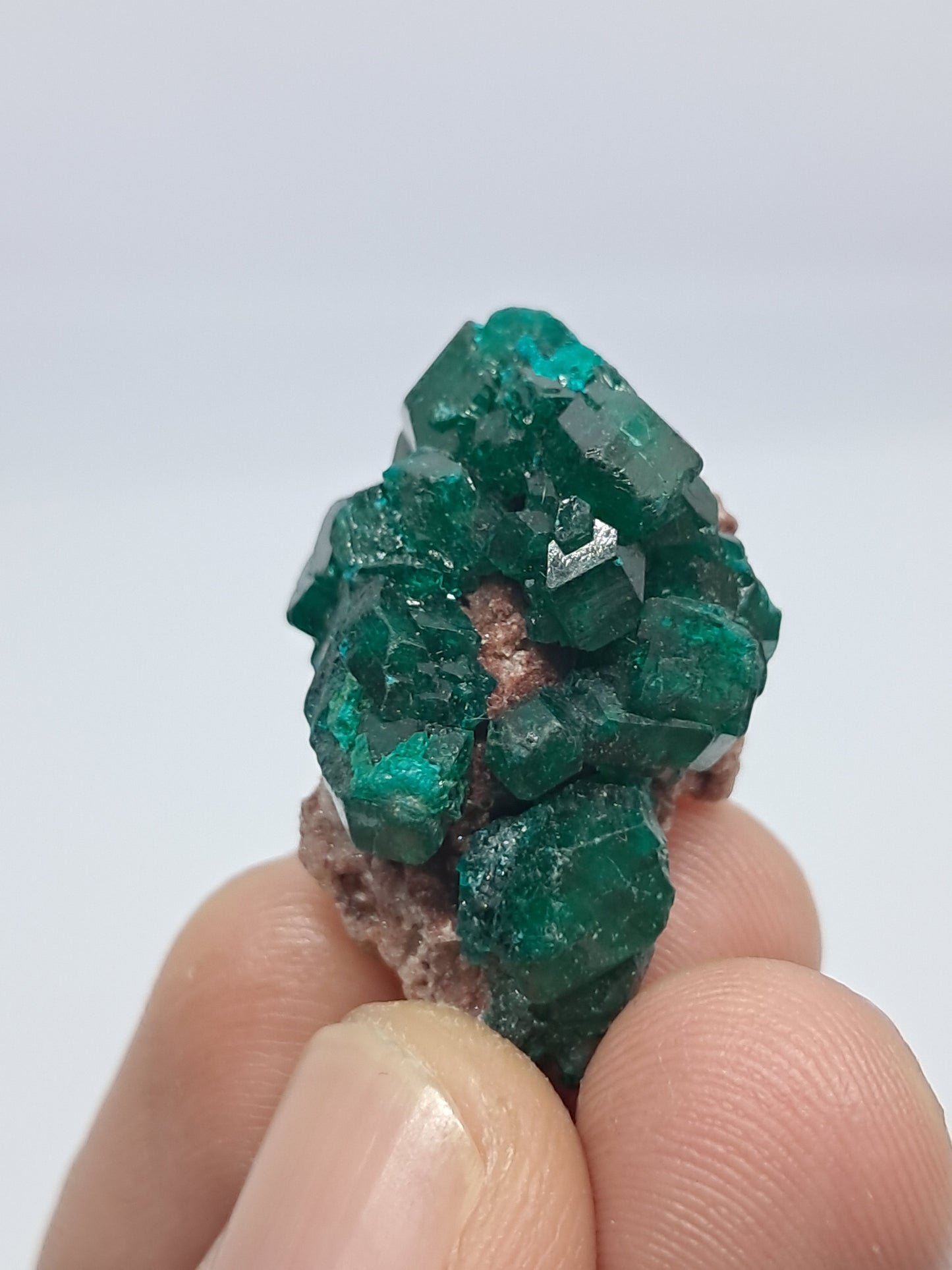 Dioptase (Democratic Republic of Congo) Natural Cluster | Rough Crystal | Mineral Specimen #DPT9