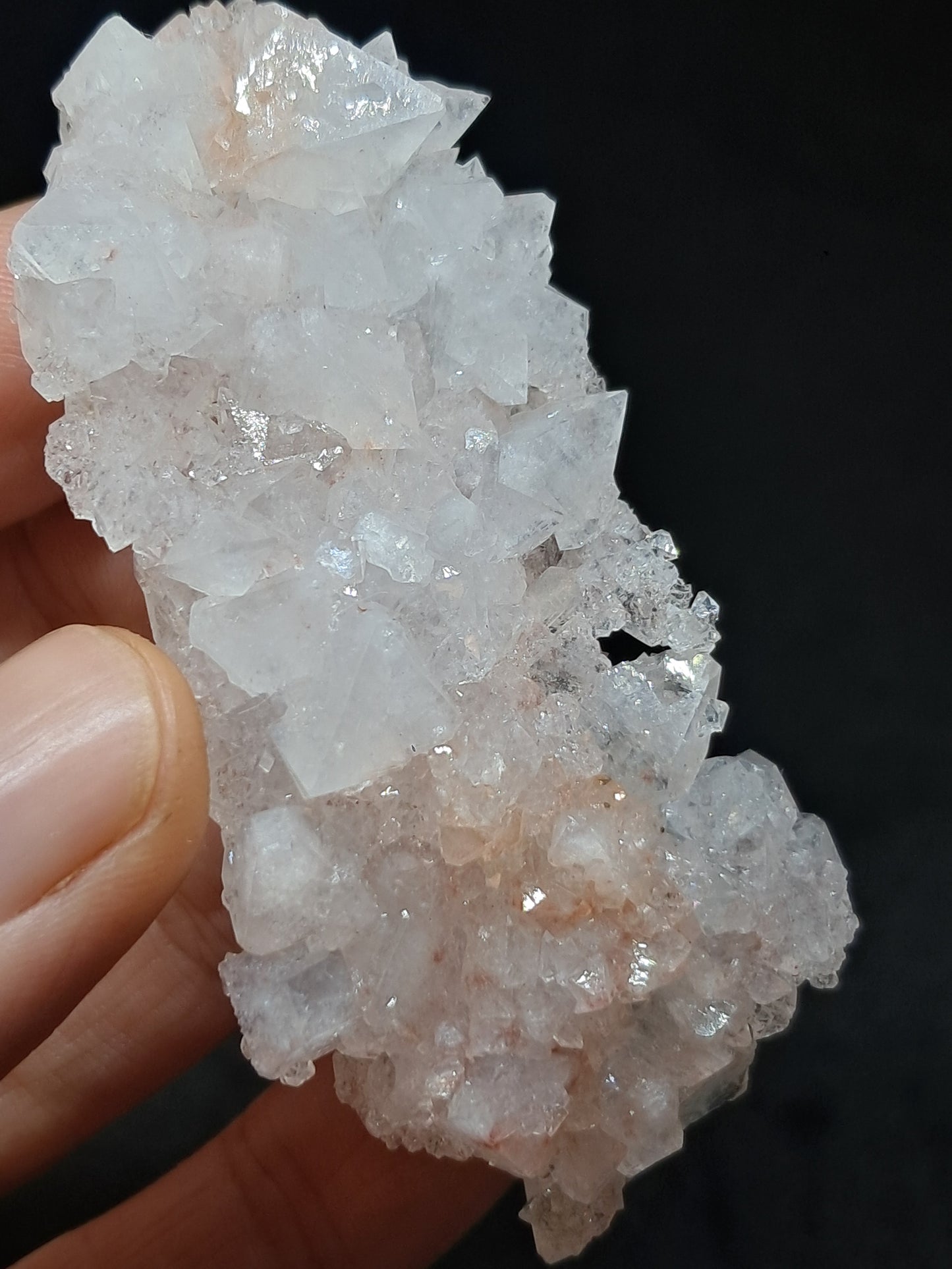 Octahedral Apophyllite Floater Cluster w/ Hematite (Ajanta) Natural Crystal | Mineral Specimen #AP33