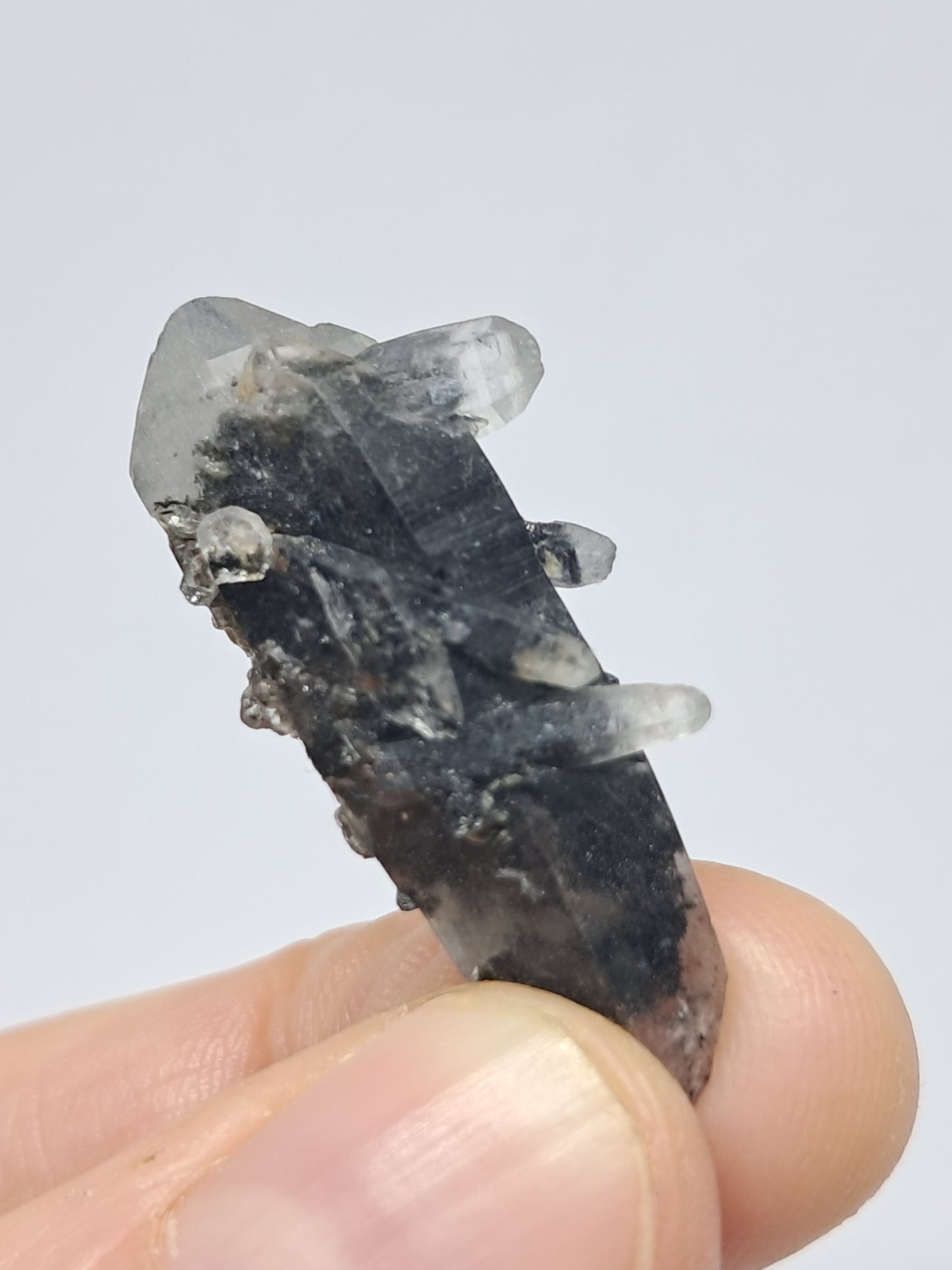 Tourmalinated Quartz biterminated point (Non-precious natural stone) #TQ17