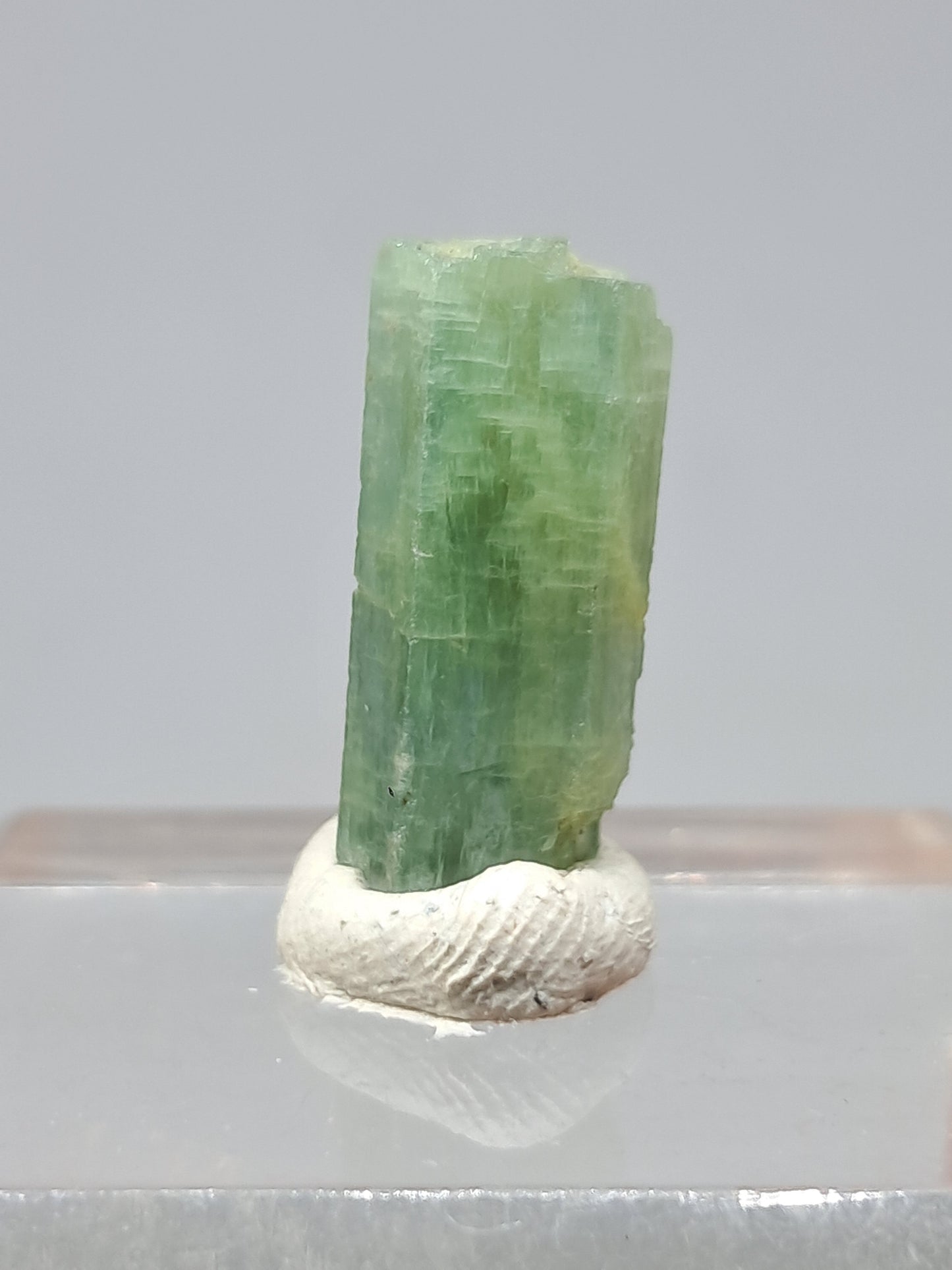 Aguamarina (Karur) Cristal hexagonal en bruto | Ejemplar mineral n.° AQM23