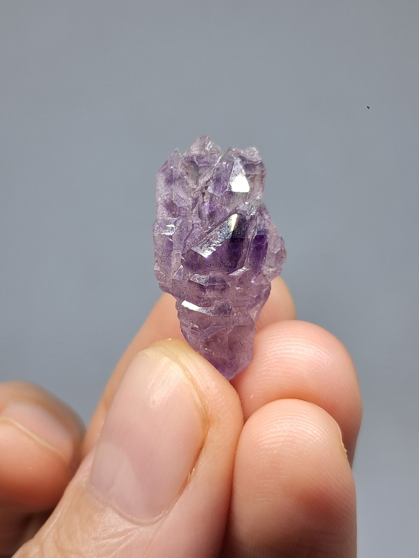 Set of 3 Elestial Amethyst from Karur w/ "Super Seven" Inclusions | Natural Crystals | Mineral Specimen #KA168